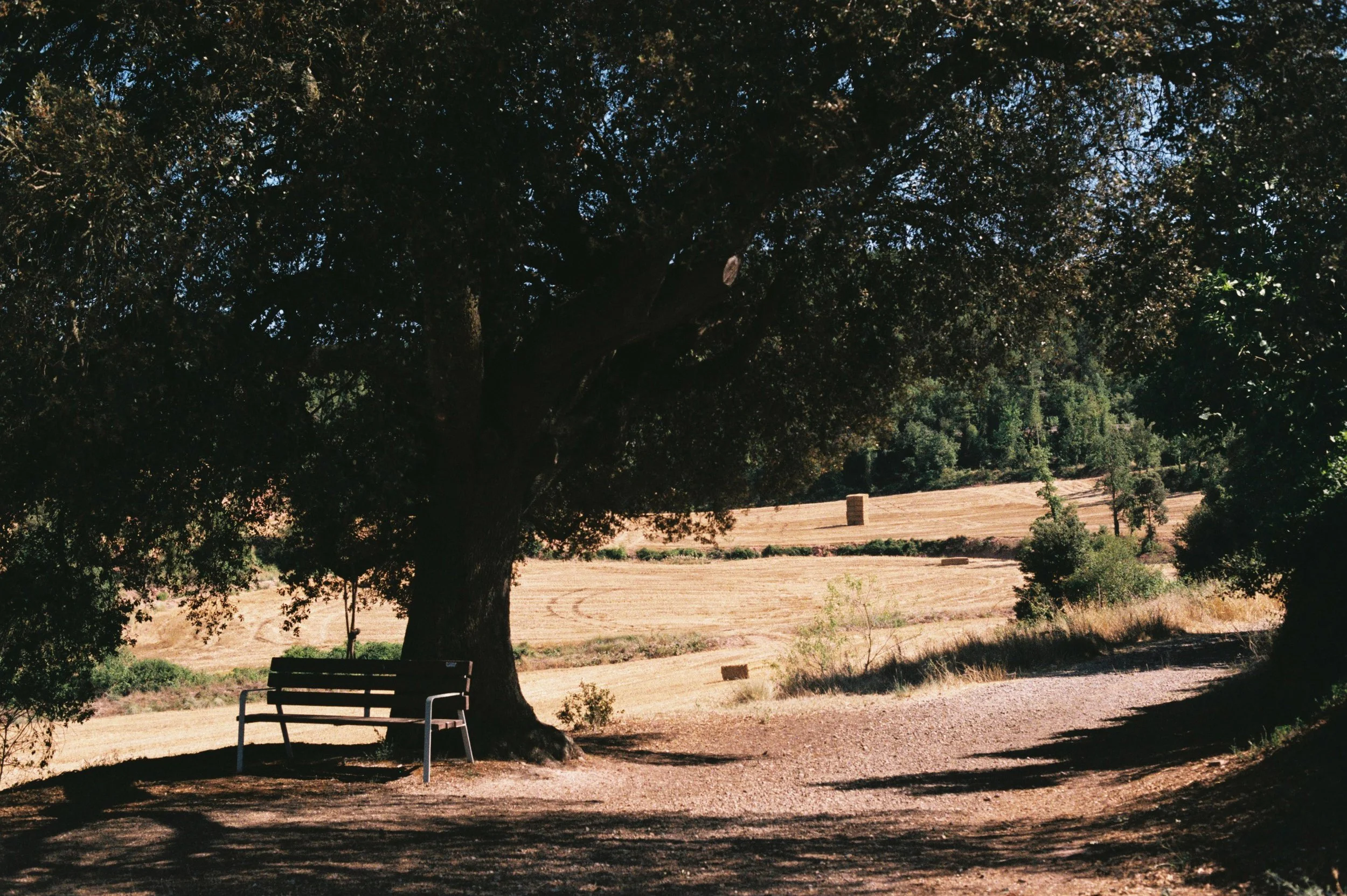 JULIOL 26 ST PERE.JPG