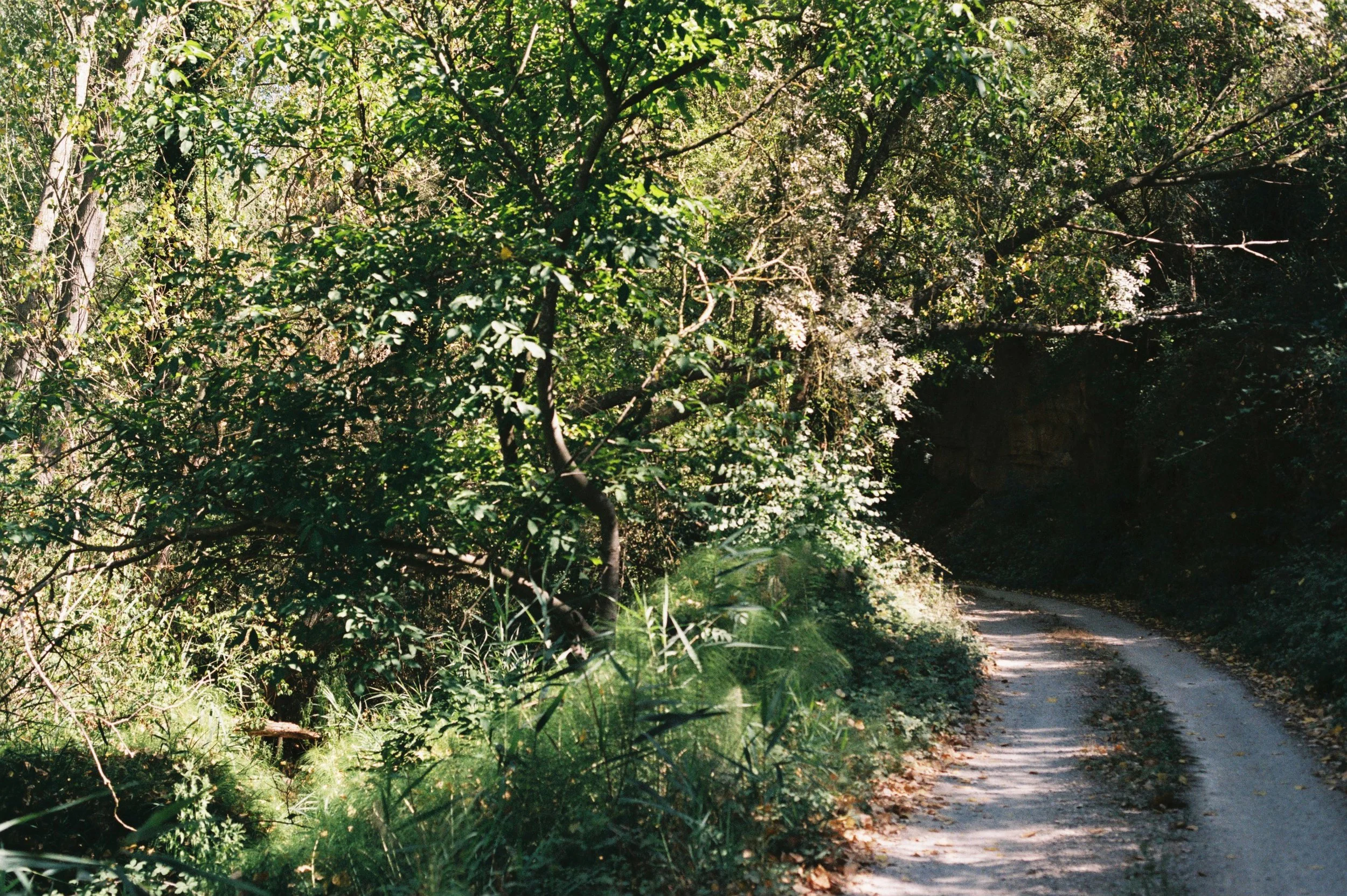 JULIOL 26 VECIANA LLORETÓ 2.JPG