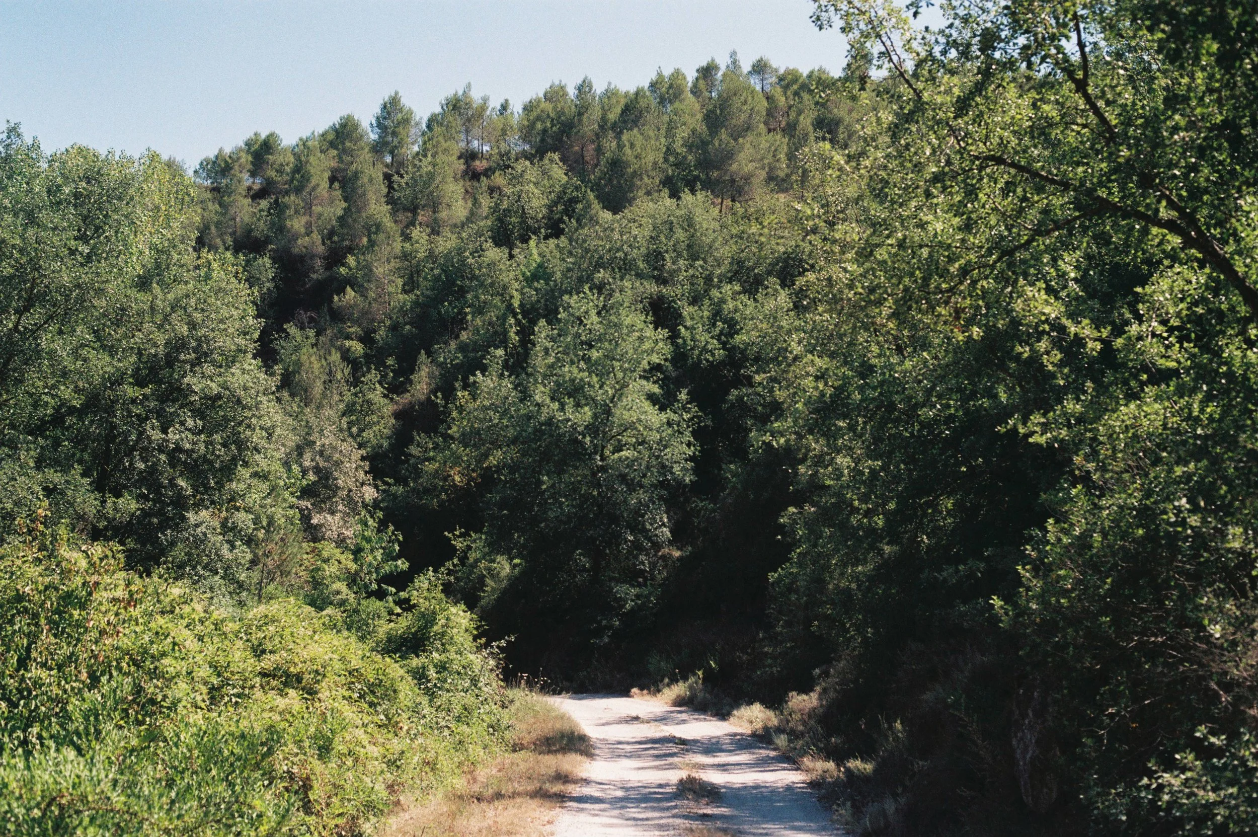 JULIOL 26 VECIANA FITEROL 2.JPG