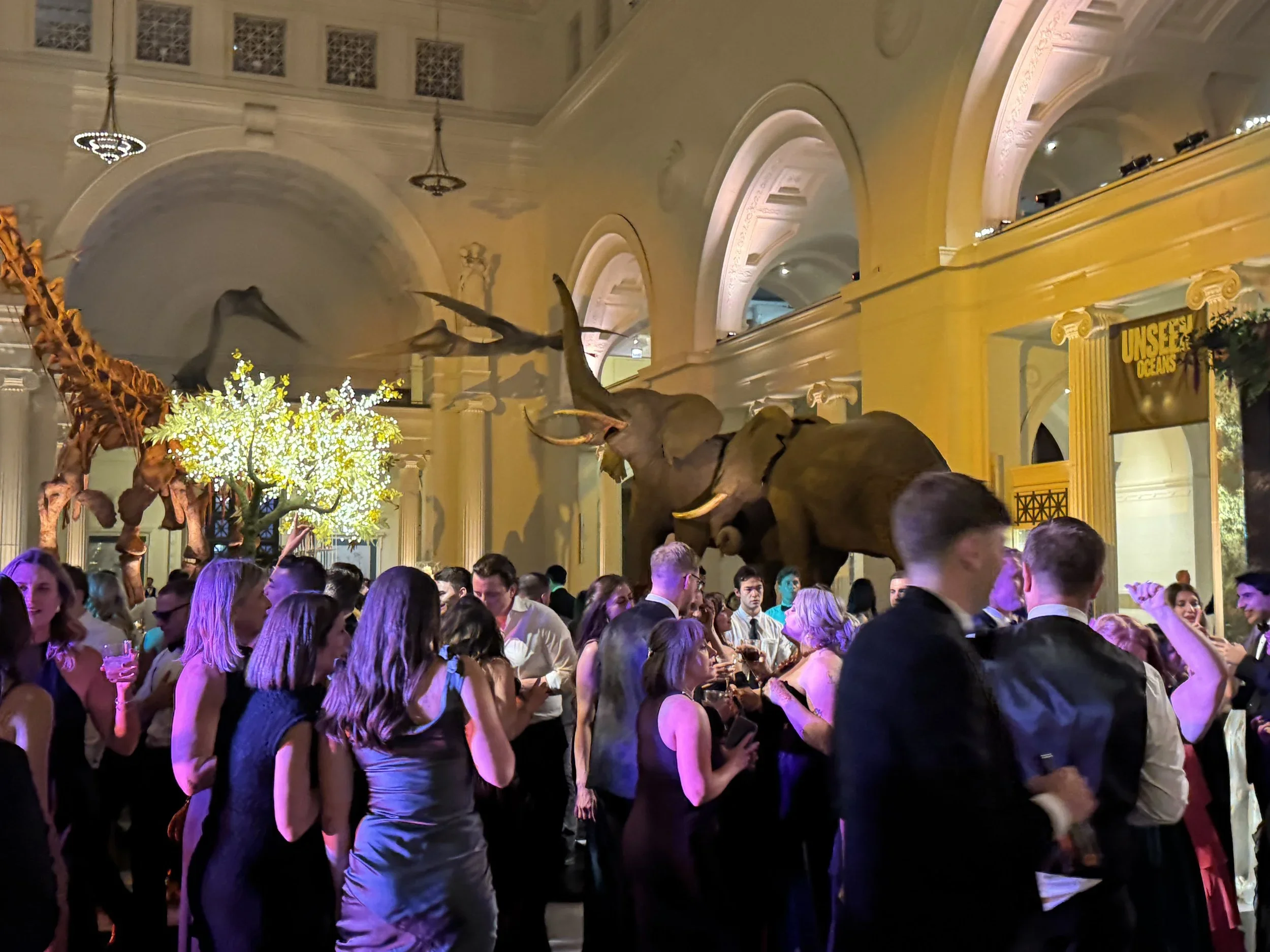 Corporate & Social Events