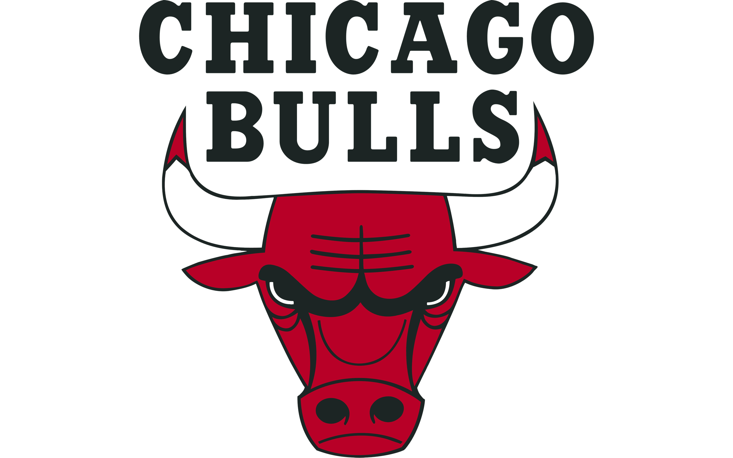 Chicago Bulls logo