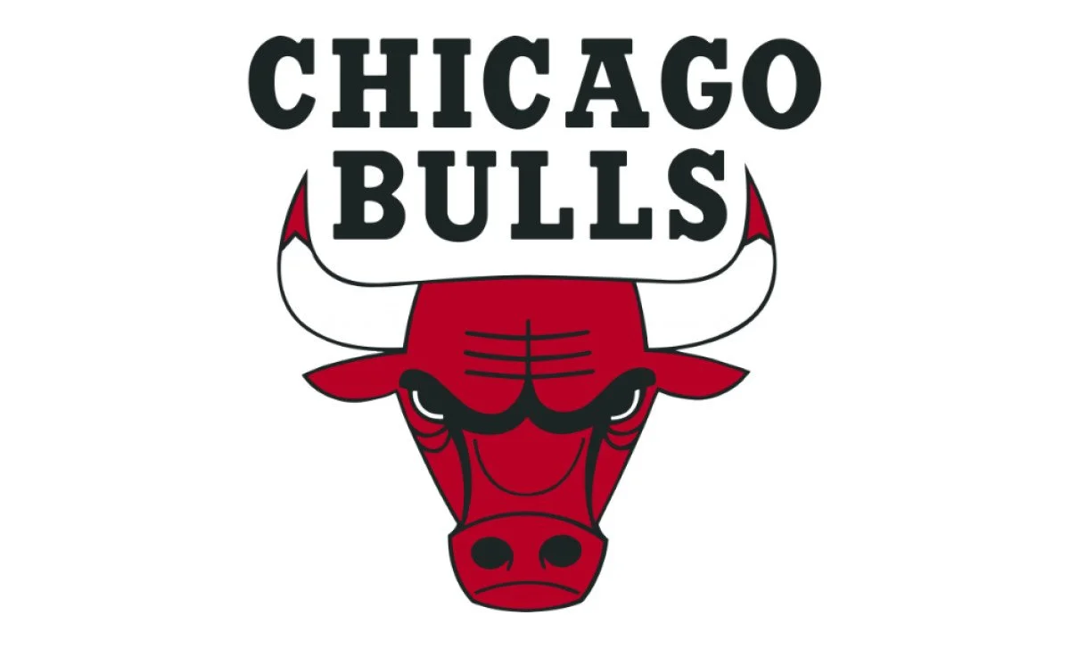 Chicago Bulls logo