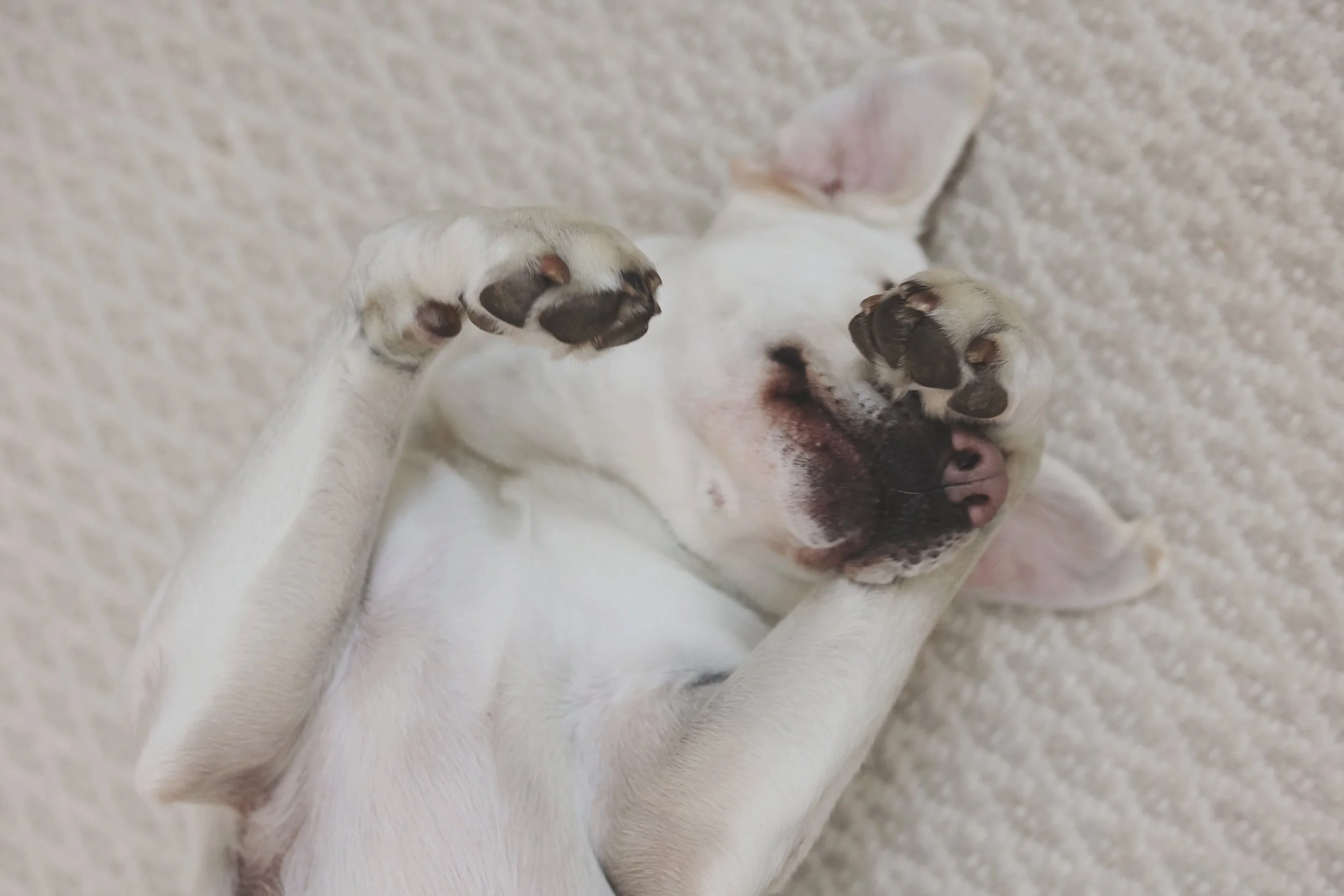 Creating A Calm Morning Routine for High-Achieving Teens