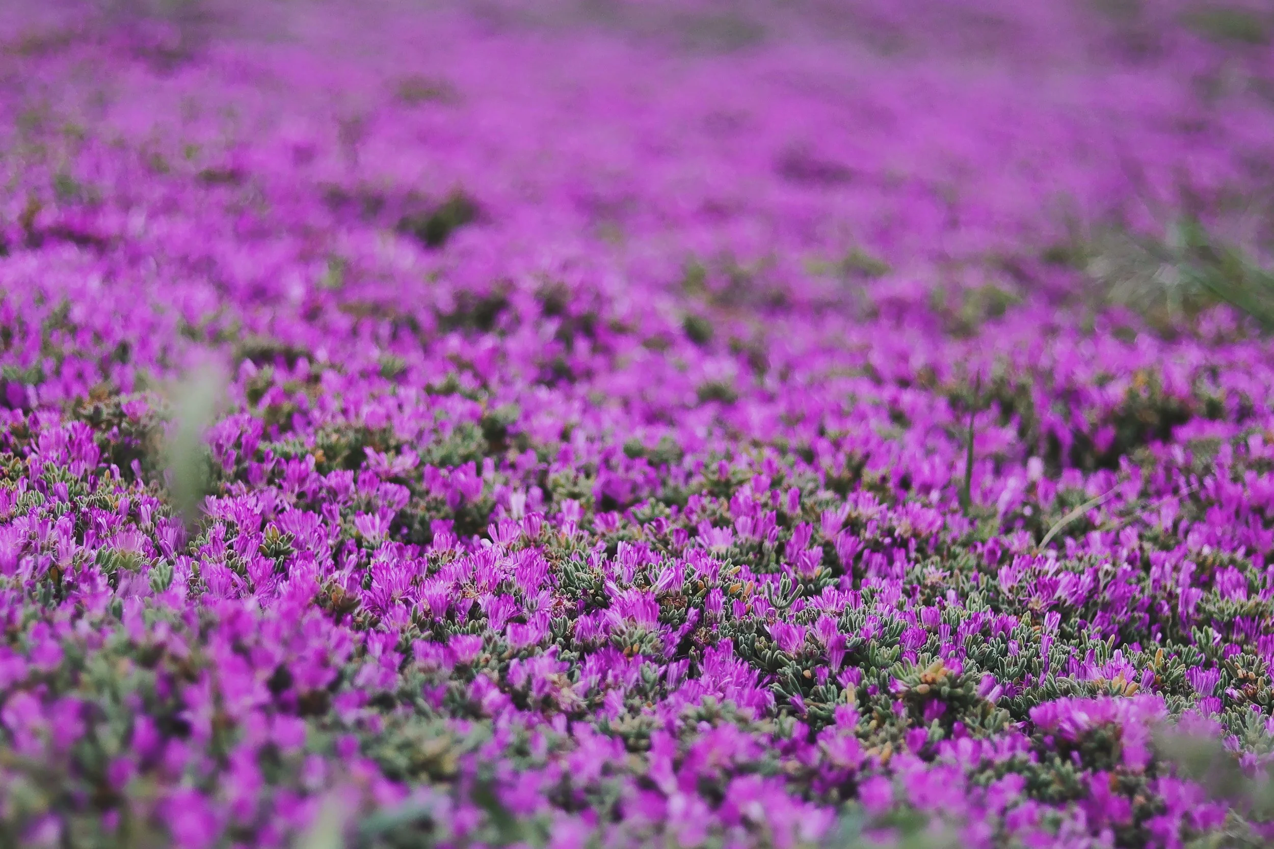 10 Guidelines for Designing Mindset