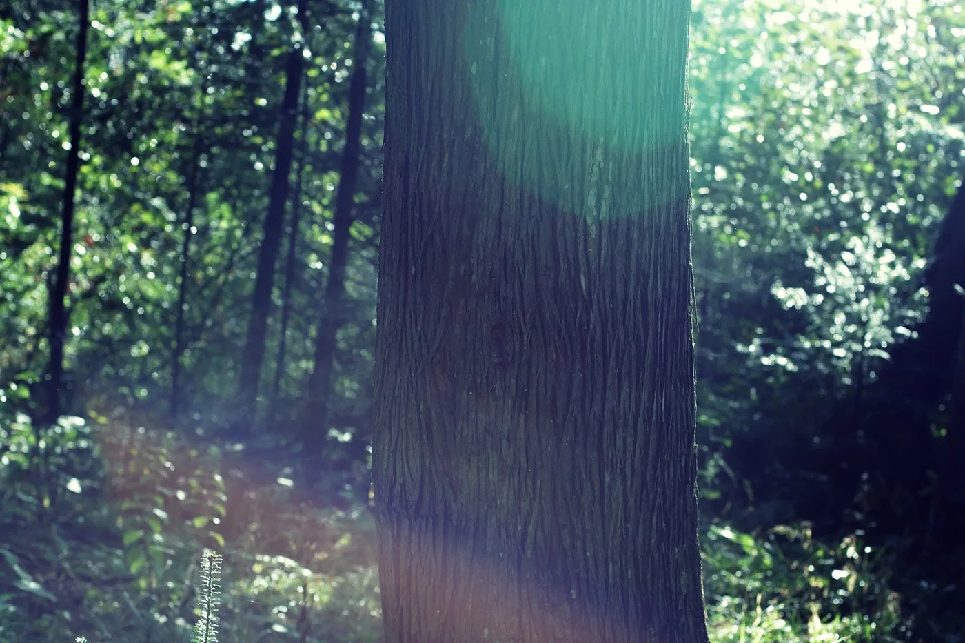 10 Guidelines for Prioritizing Fun