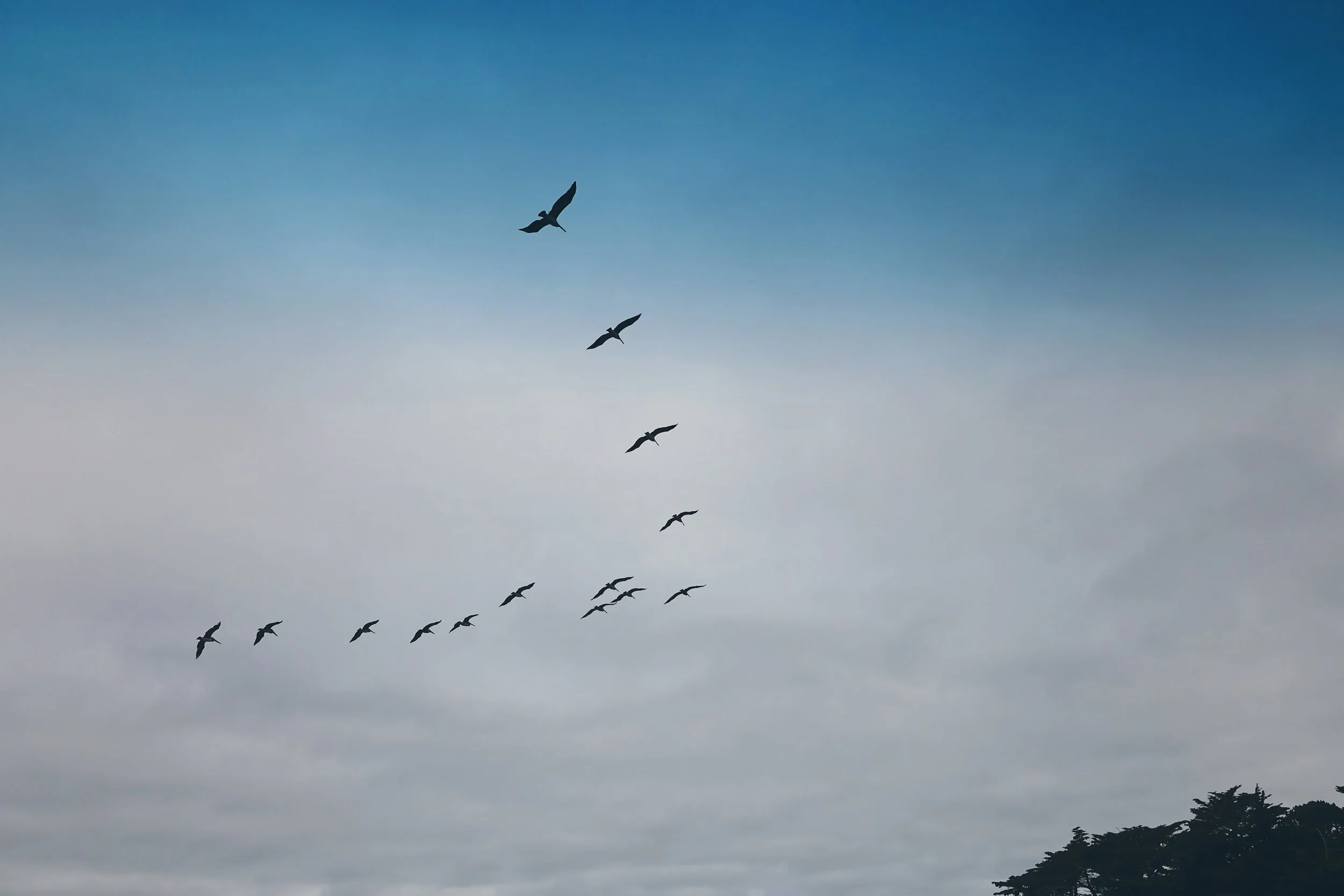 10 Guidelines for Navigating Purpose