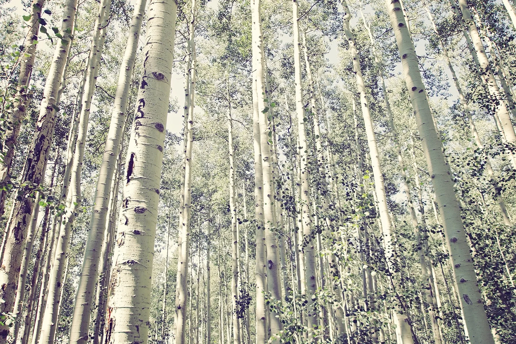 10 Guidelines for Managing Stress 