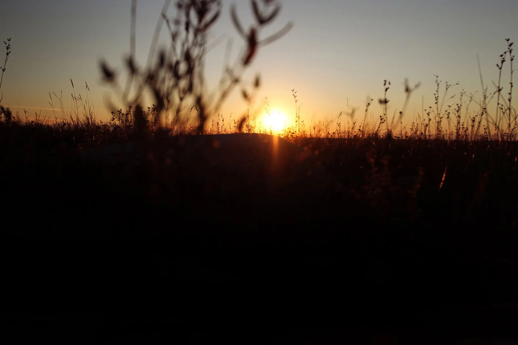 Understanding how Light Impacts our Health