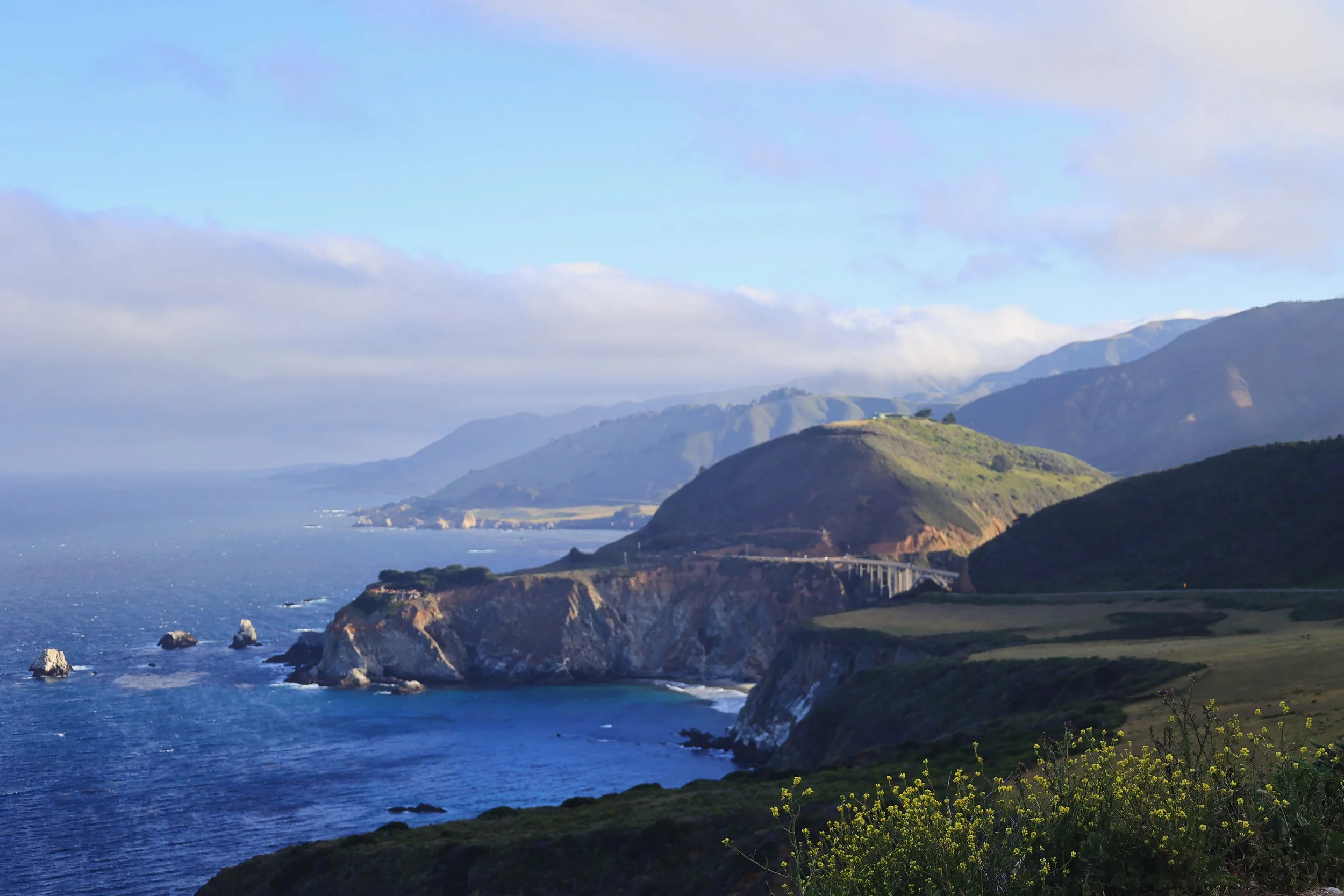 #4 Be Insatiably Curious- Read + Learn