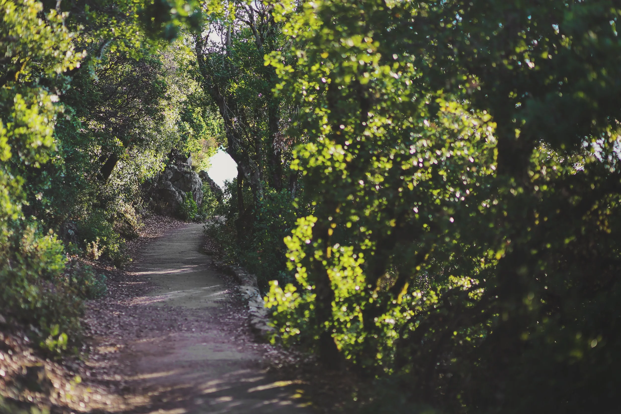 #1 Choose Impactful Work