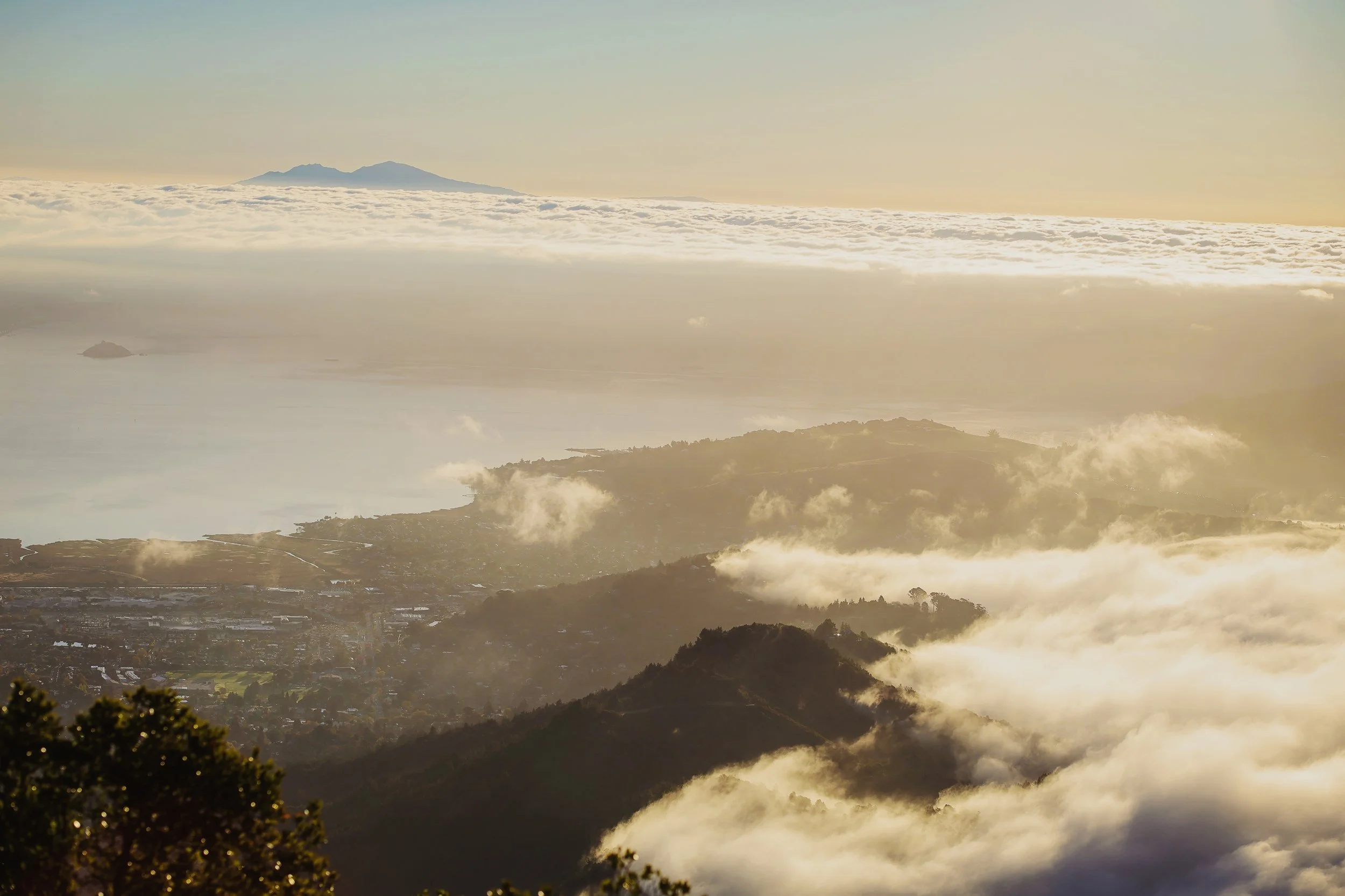 #7 Create Clear + Simple Products