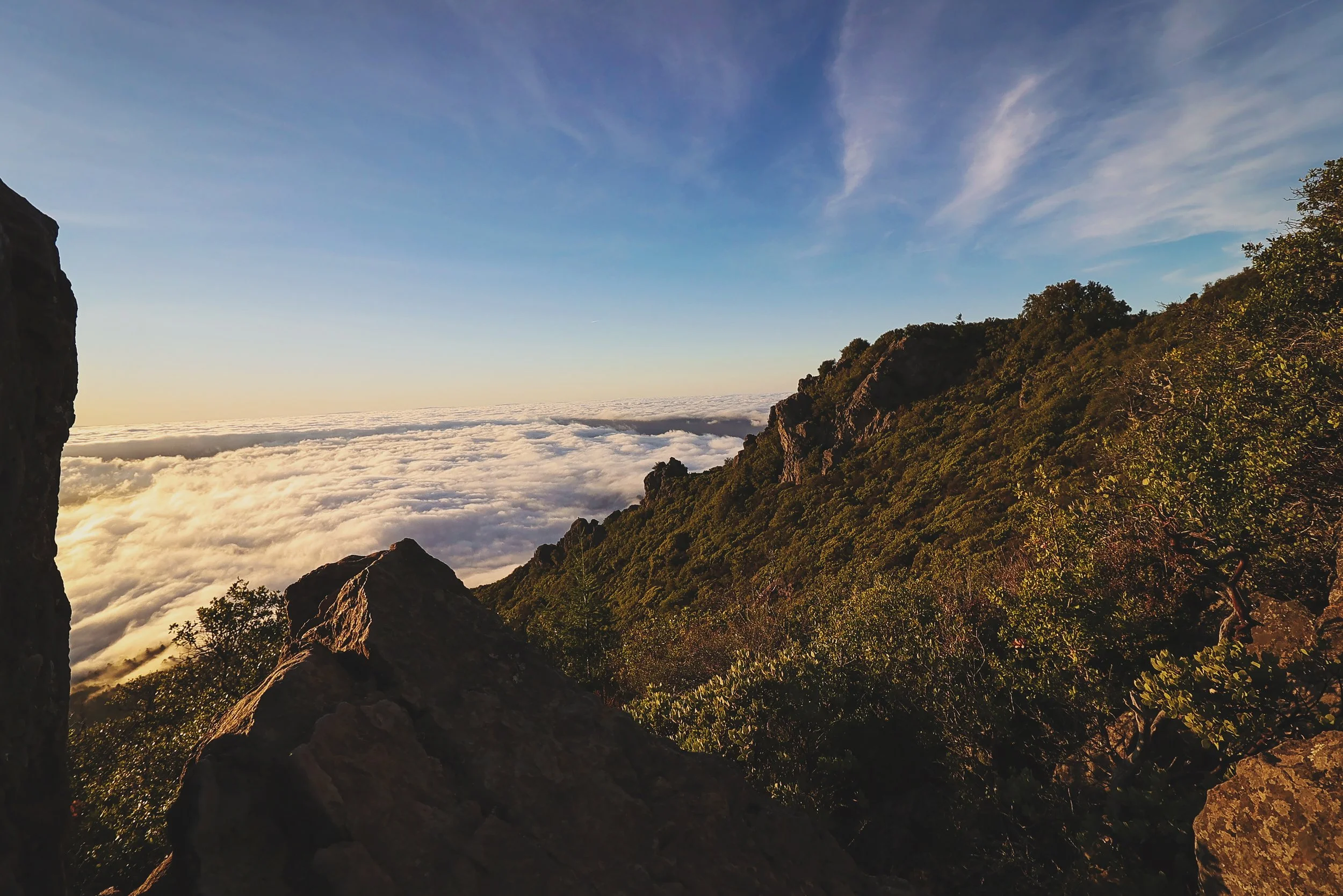 #11 Leverage + Scale