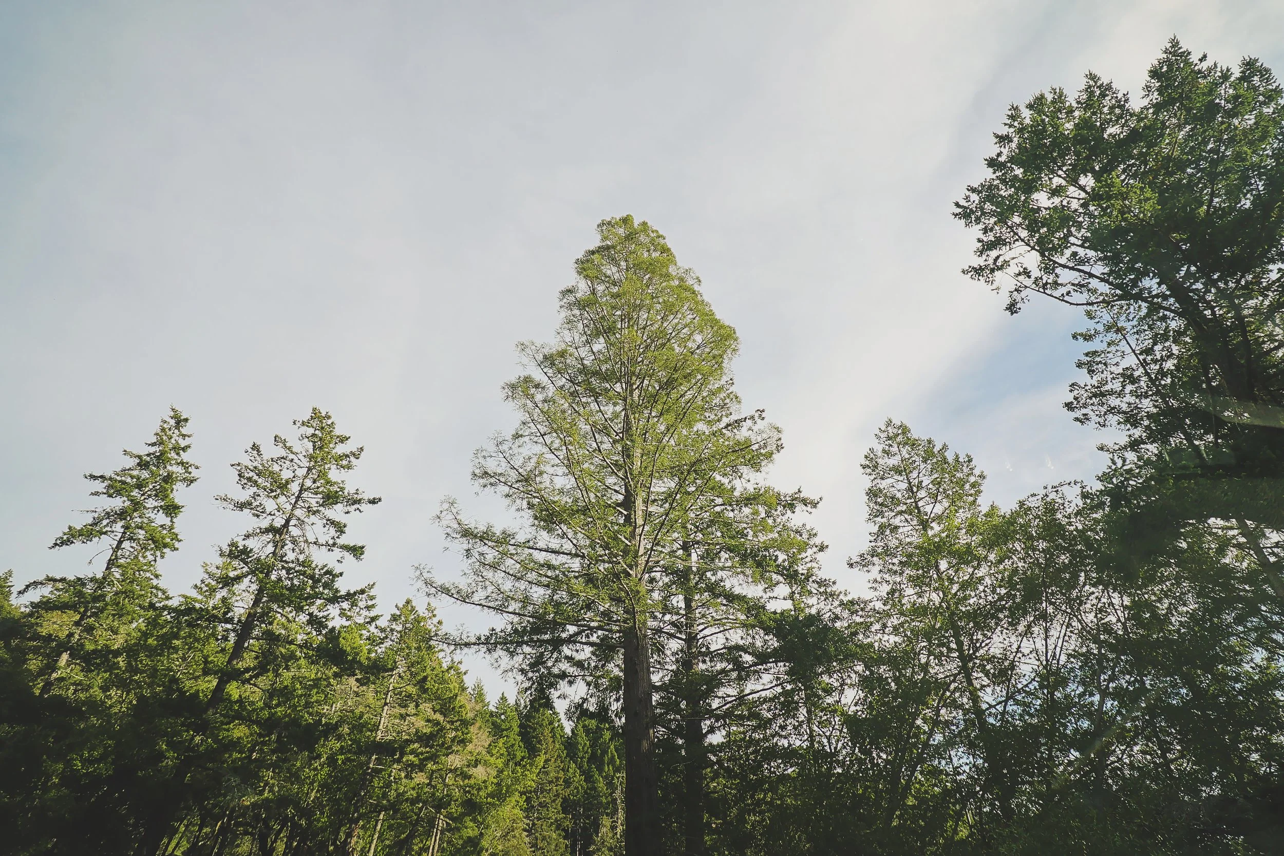 #8 Play the Long Game with Discipline + Grit