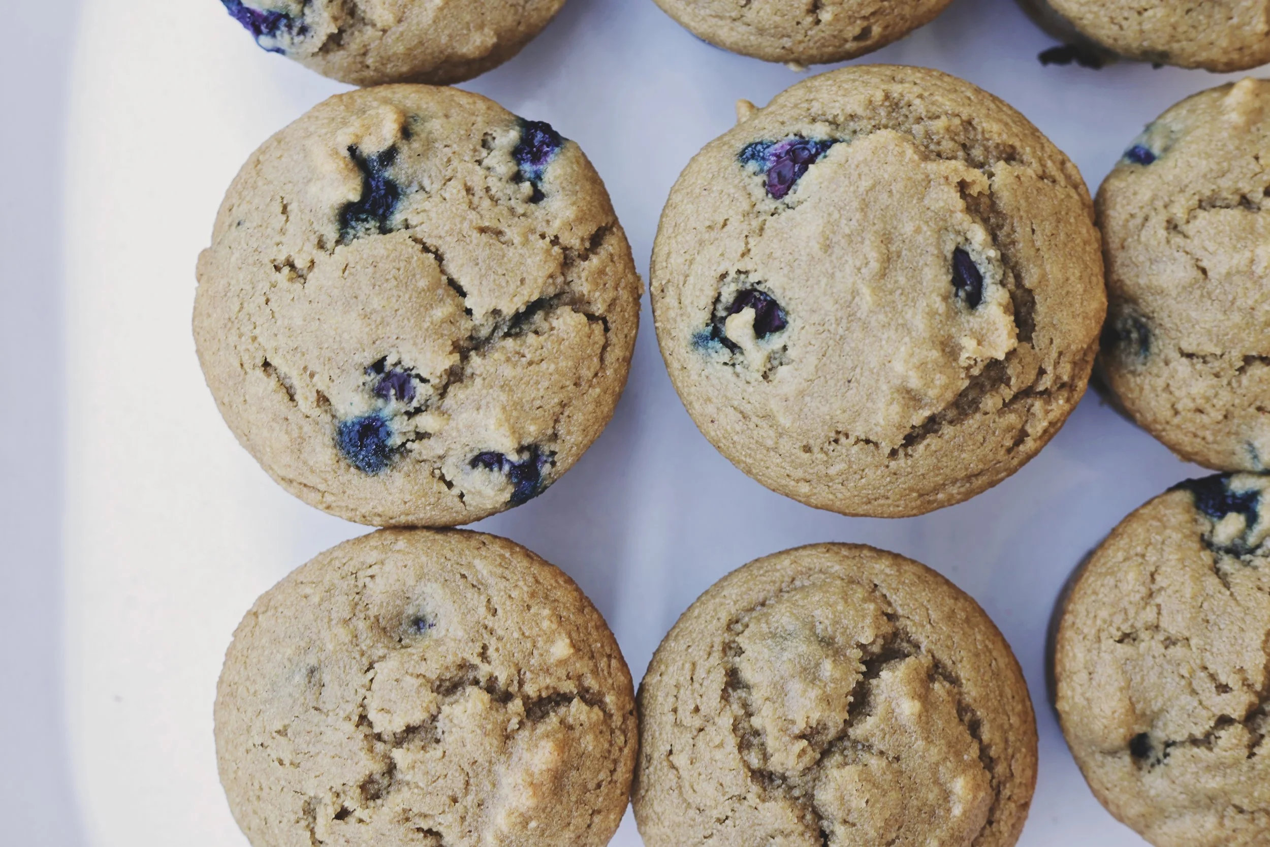 Blueberry Oat Muffin