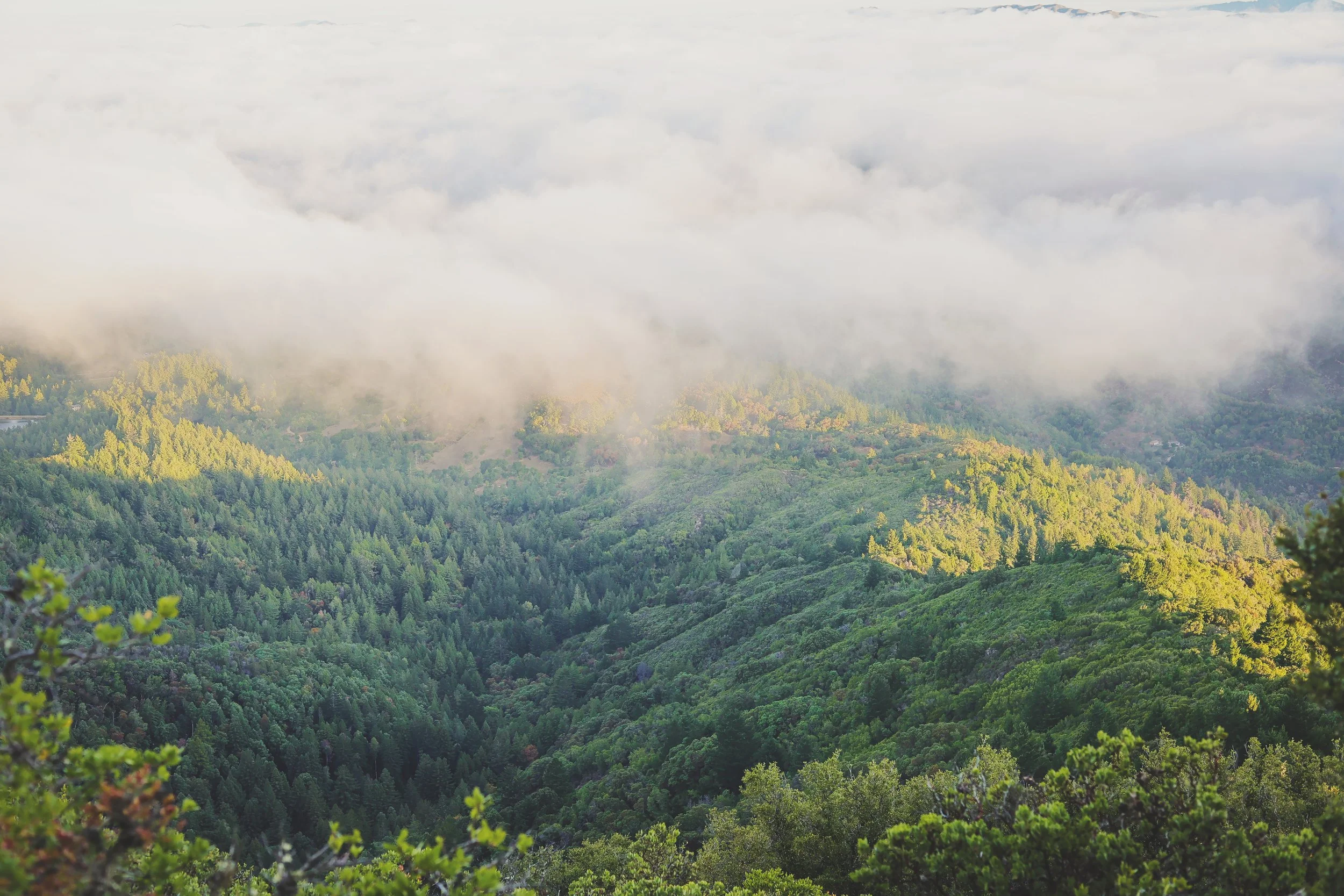 #5 Get out of your head