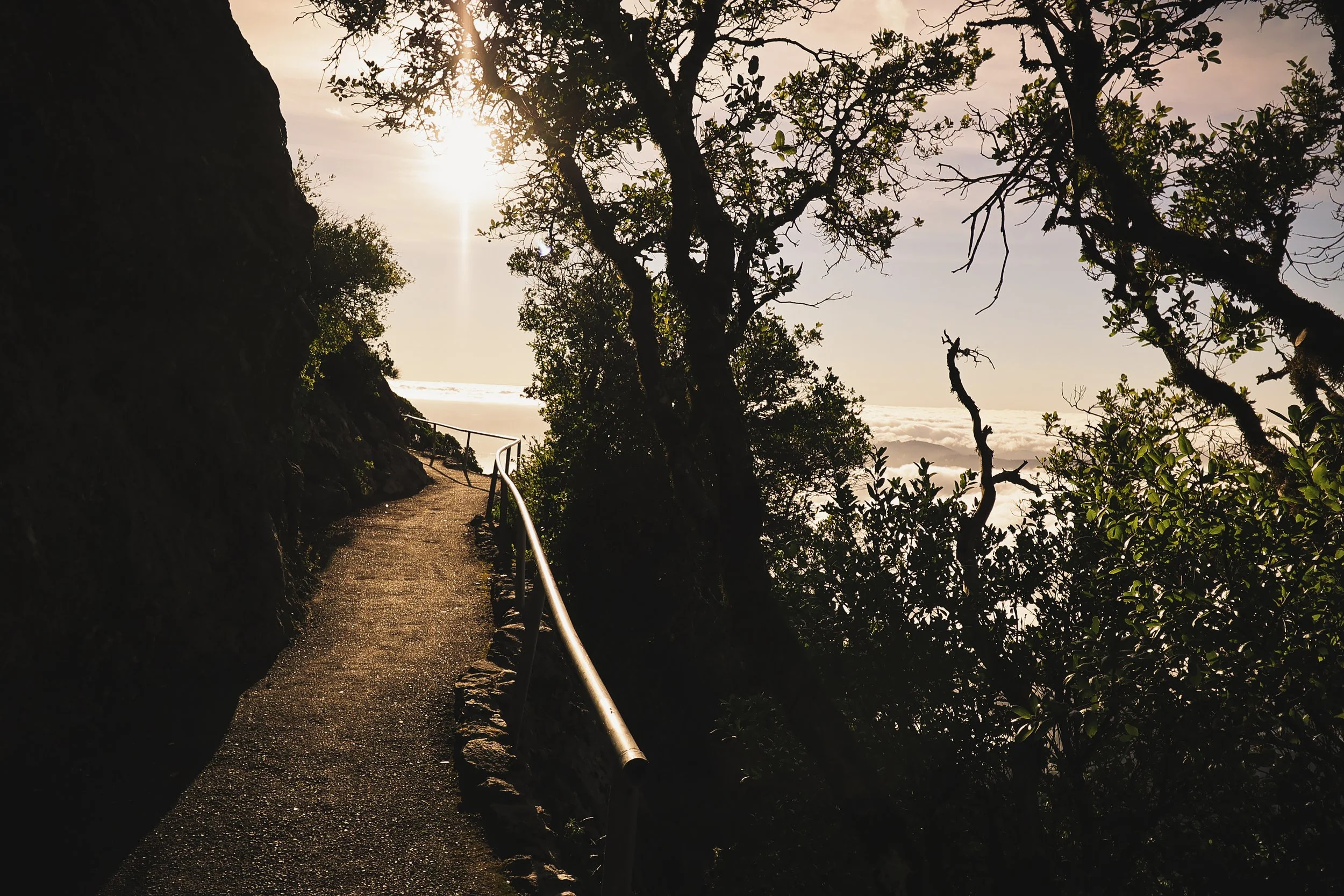 #4 Develop a Gratitude Practice