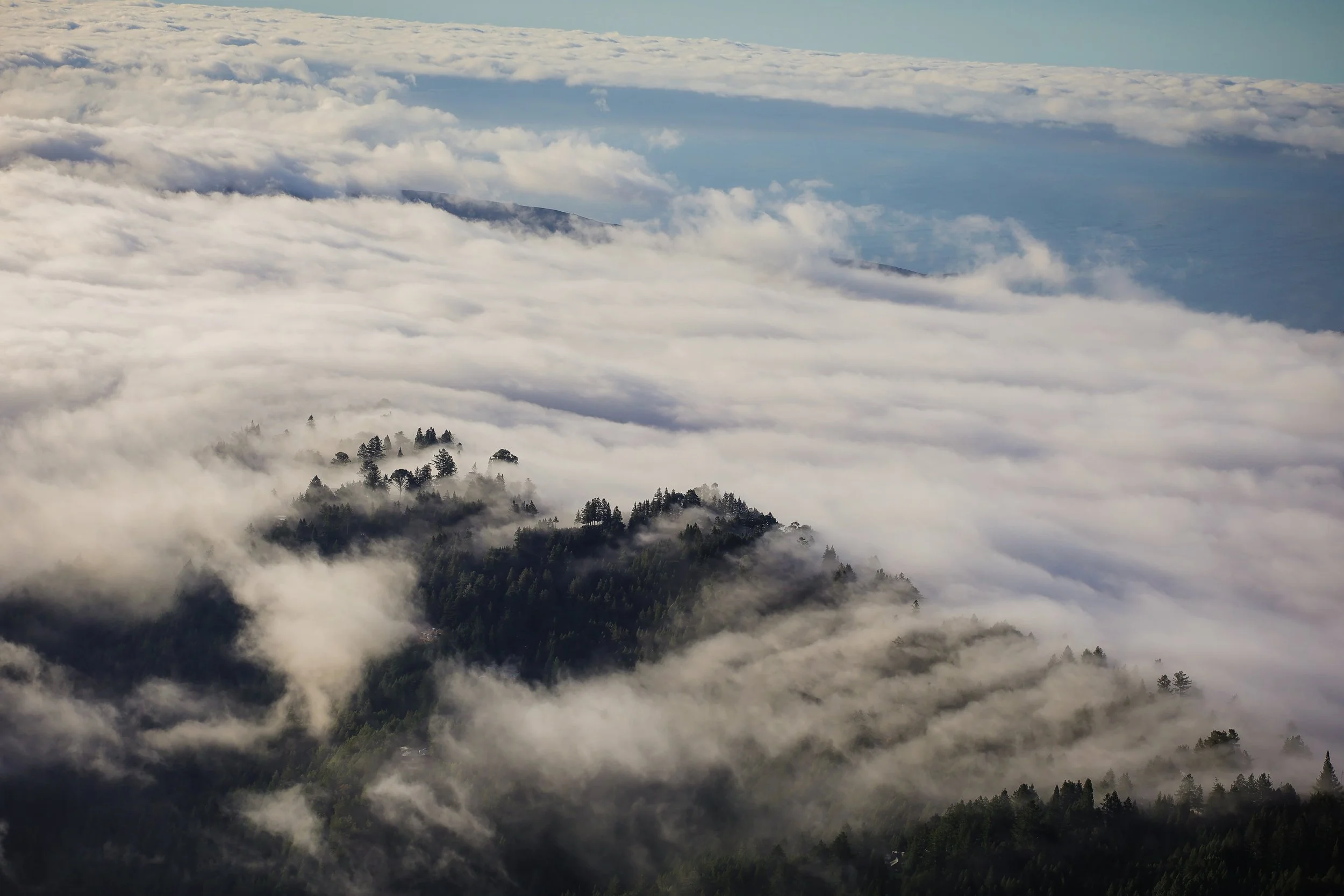 Rest Is More Than Sleep