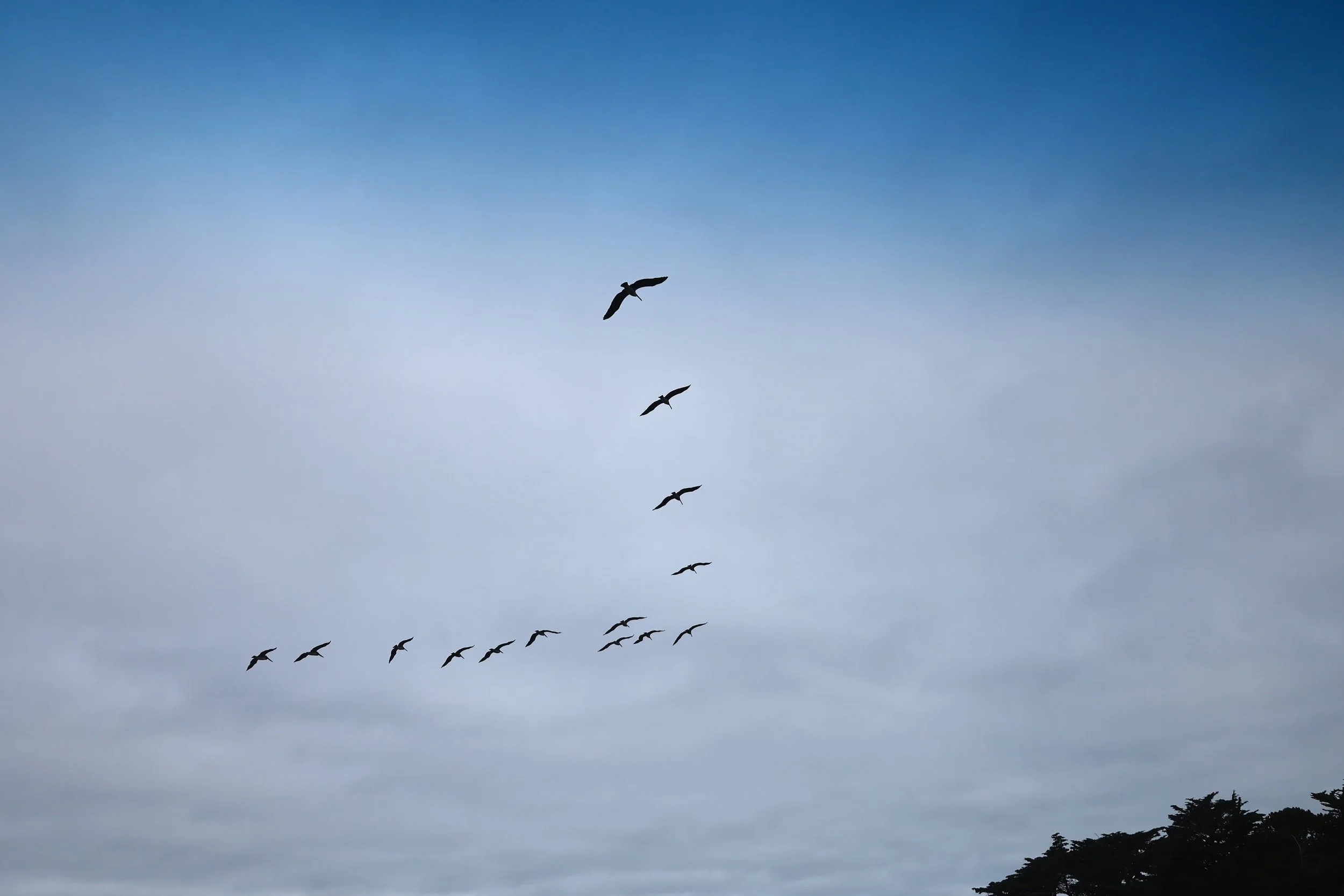 #2 Align Your Life WIth Purpose + Meaning