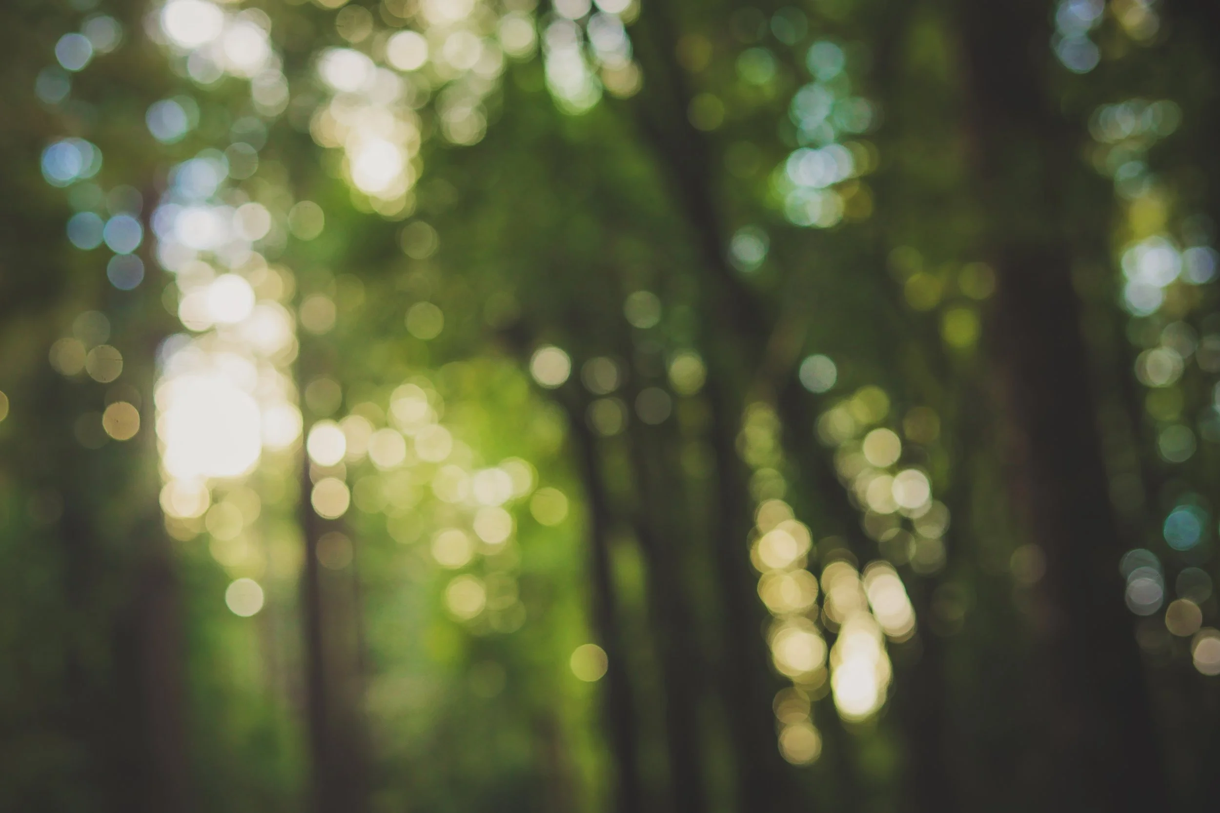 #4 Embrace CHange + Reframe Failure