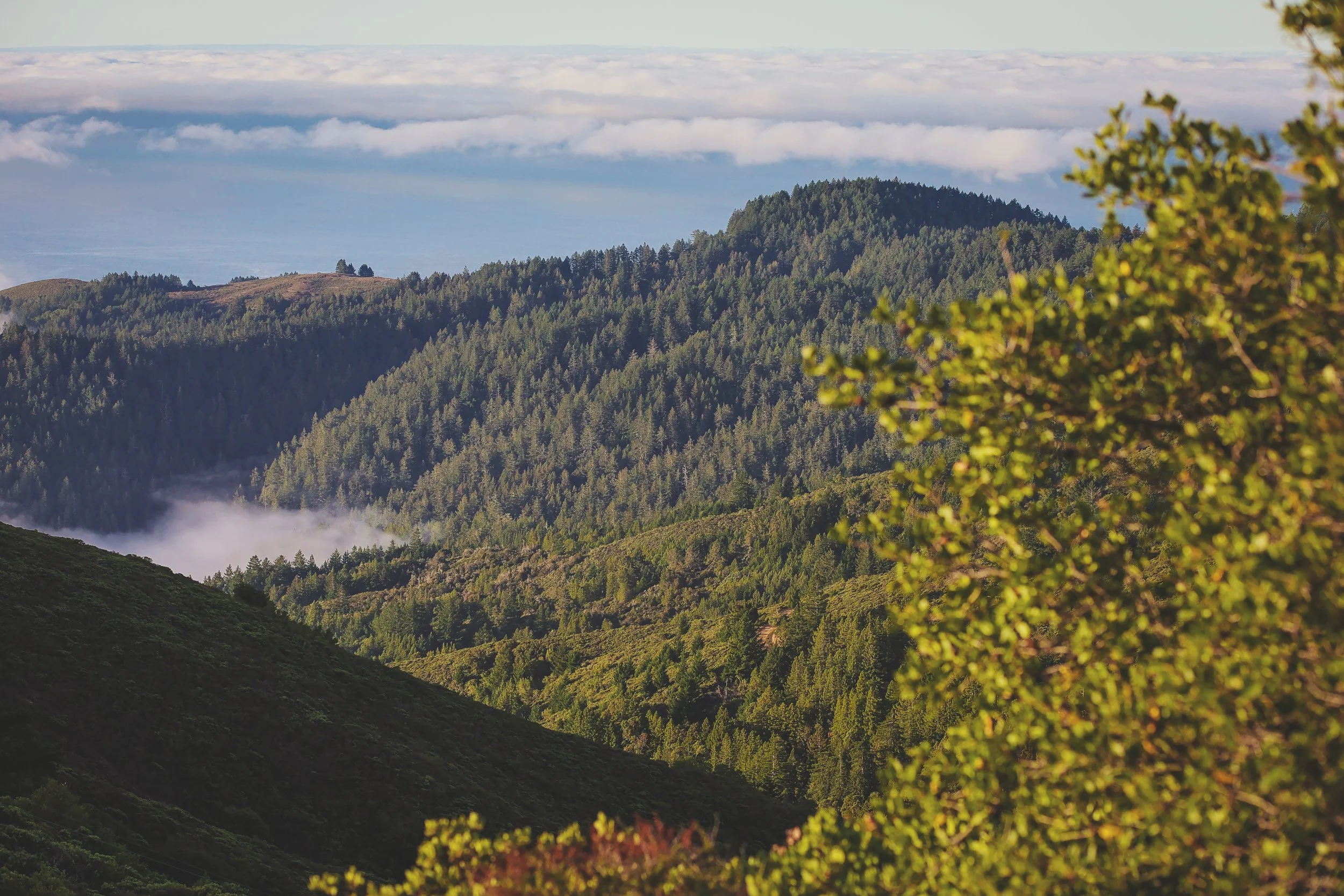 #1 Manage Your Distractions