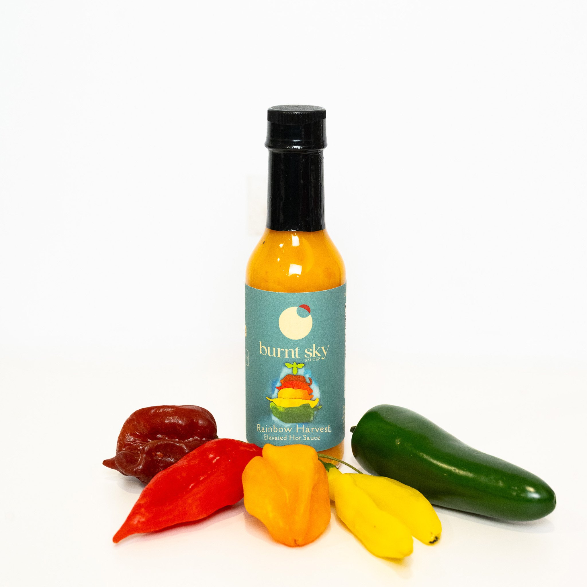 Rainbow Harvest Pro Shot - Amanda Murcko.jpg