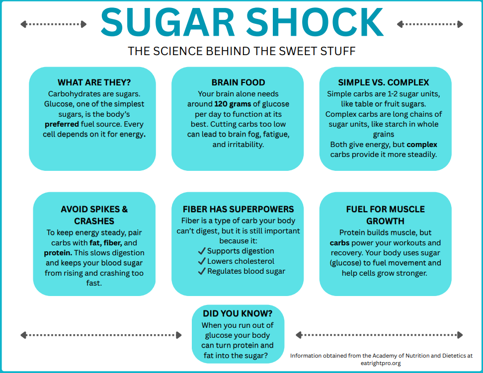 This was a poster made for my Technical Writing course using CRAP principles. We got to choose a topic that we are interested in. I am passionate about nutrition science, especially glucose. Diet culture loves to hate on sugars, so I used this assign