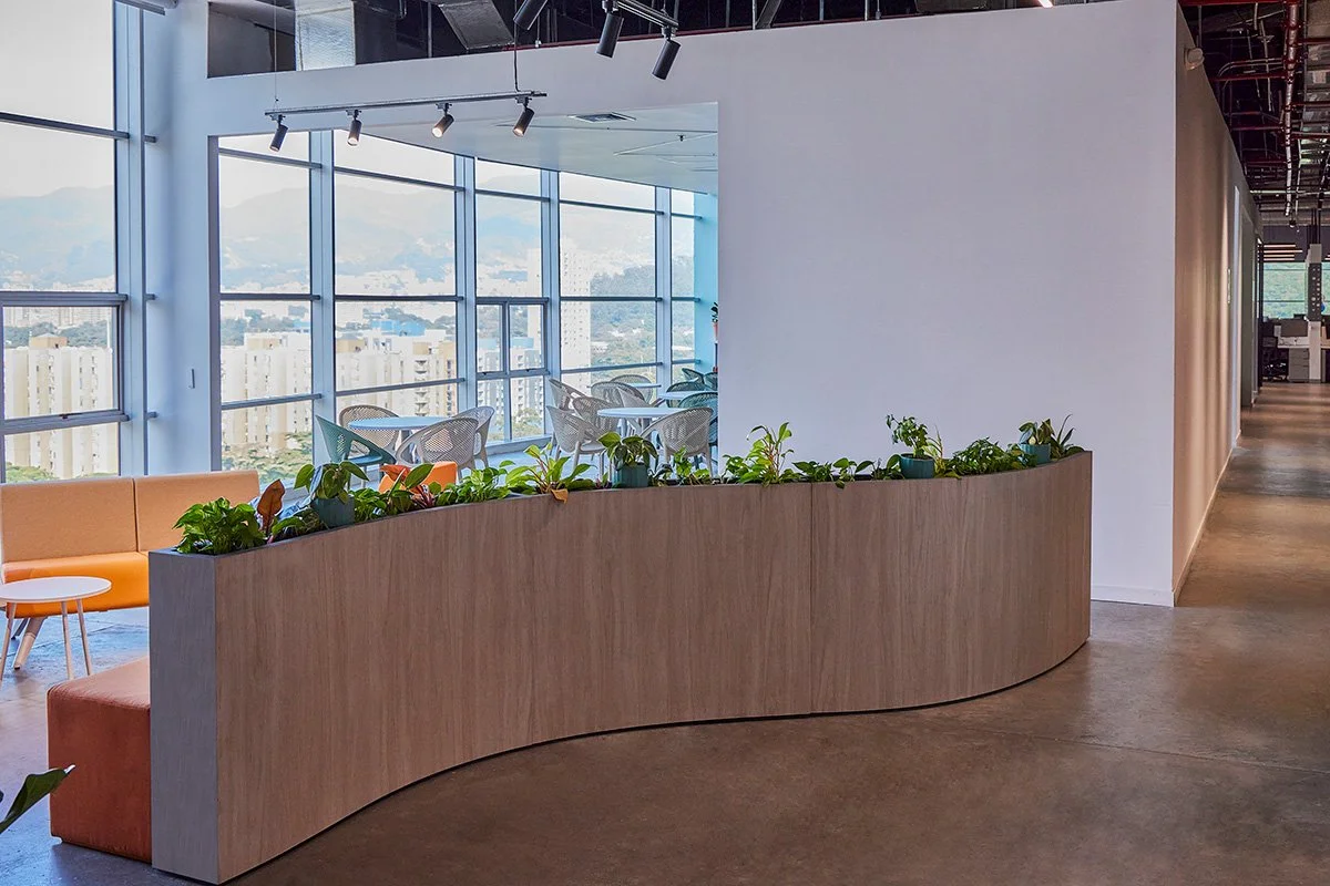 Espacio de oficina con plantas en un macetero de madera y ventanas grandes con vista a la ciudad.