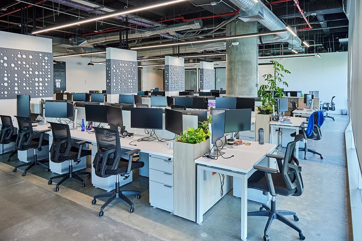 Oficina moderna con escritorios y sillas ergonómicas, plantas decorativas y computadoras, en un espacio amplio con paredes blancas y techos expuestos con conductos de aire.