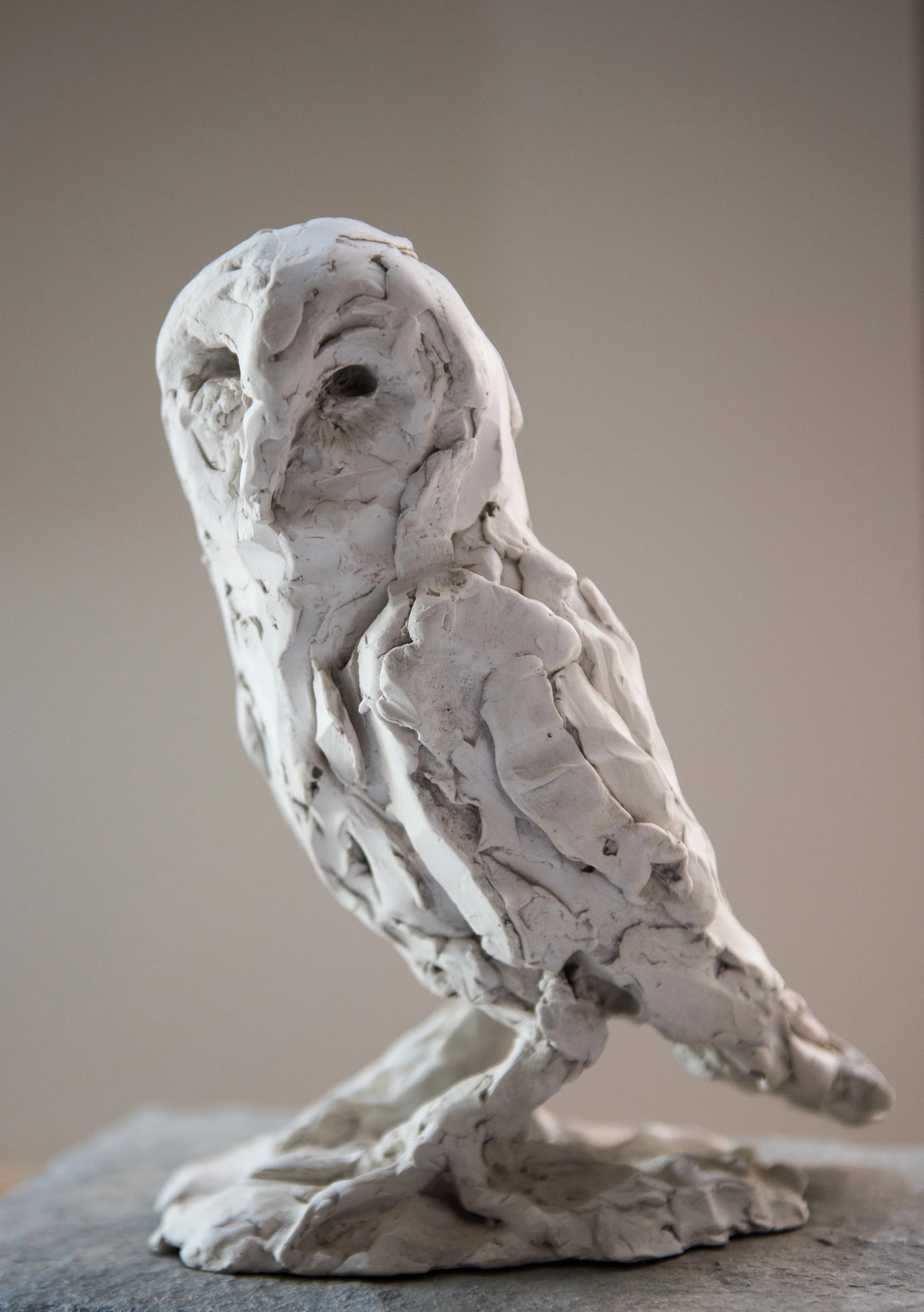 'Tawny Owl'
30 cm H approx
Marble Dust
2/10 
(POA)