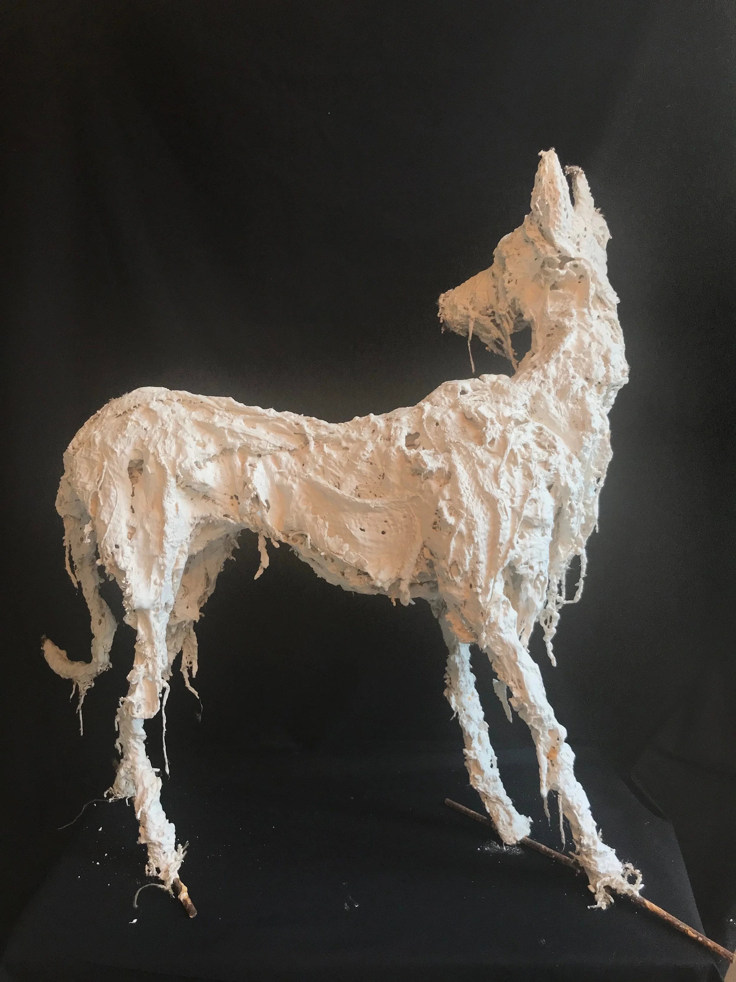 'Night Hound' 
70 cm H x 63 cm L approx
Plaster 
(POA)
