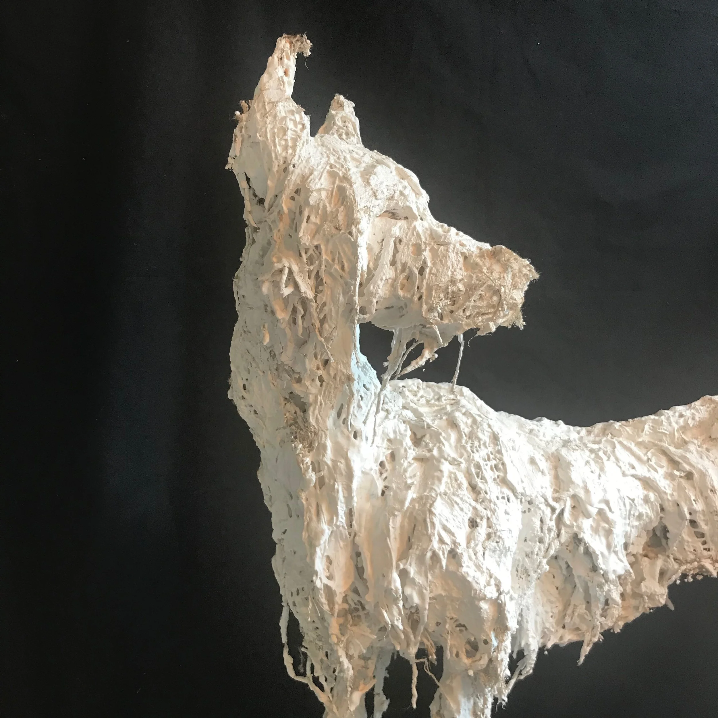 'Night Hound' 
70 cm H x 63 cm L approx
Plaster 
(POA)