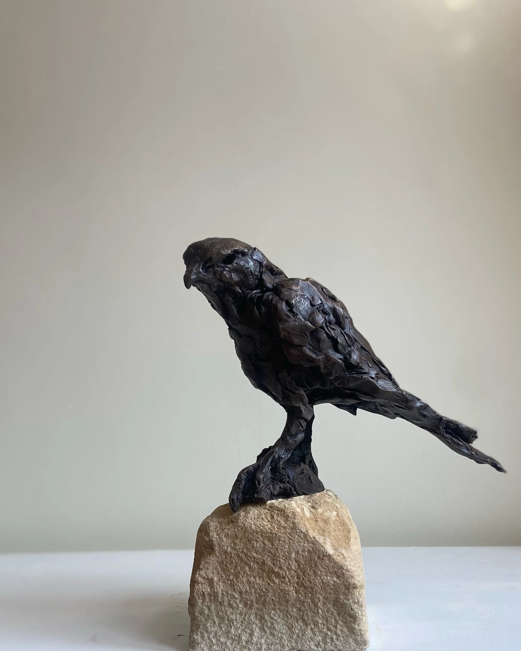 'Hawk I'
Bronze resin, mounted on Portland Stone
(POA)