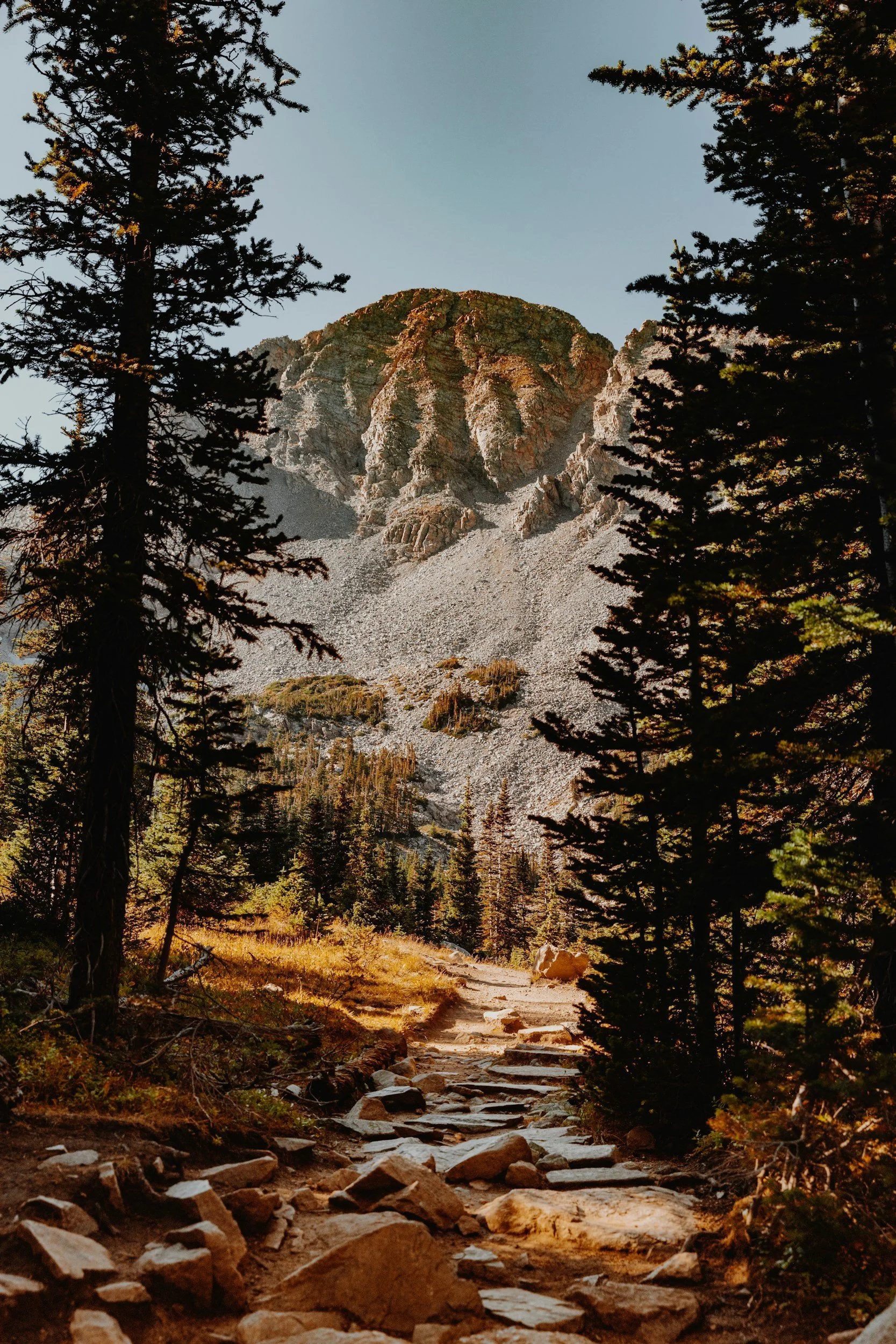 A rugged mountain with steep rocky slopes framed by tall evergreen trees along a narrow dirt trail in a forest.