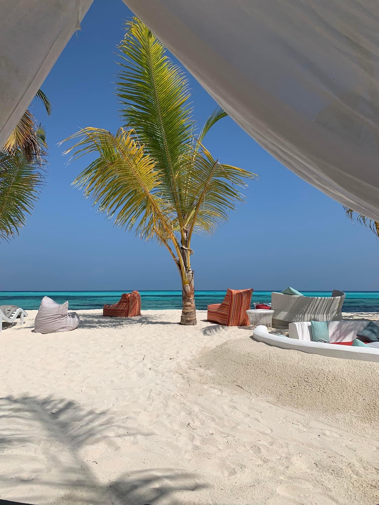 Tropical beach scene with a palm tree, colorful lounge chairs, white sofa, and ocean view under a canopy.