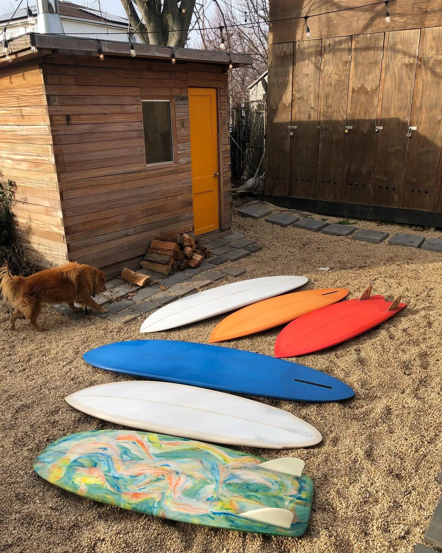 Backyard.jpg