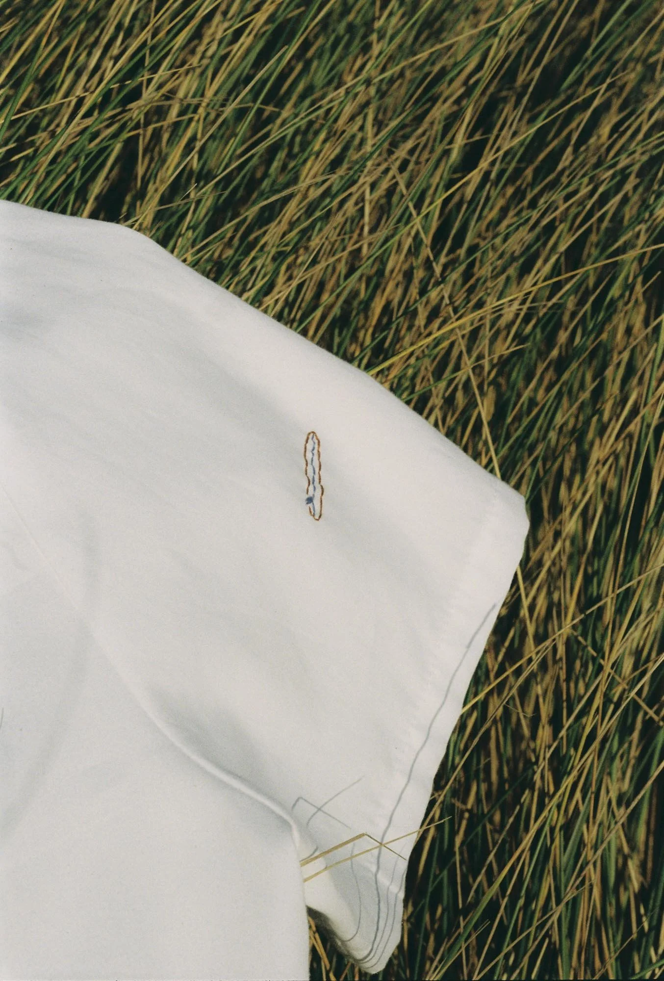 FLUIDO x CURA BY THE SEA 1.jpg