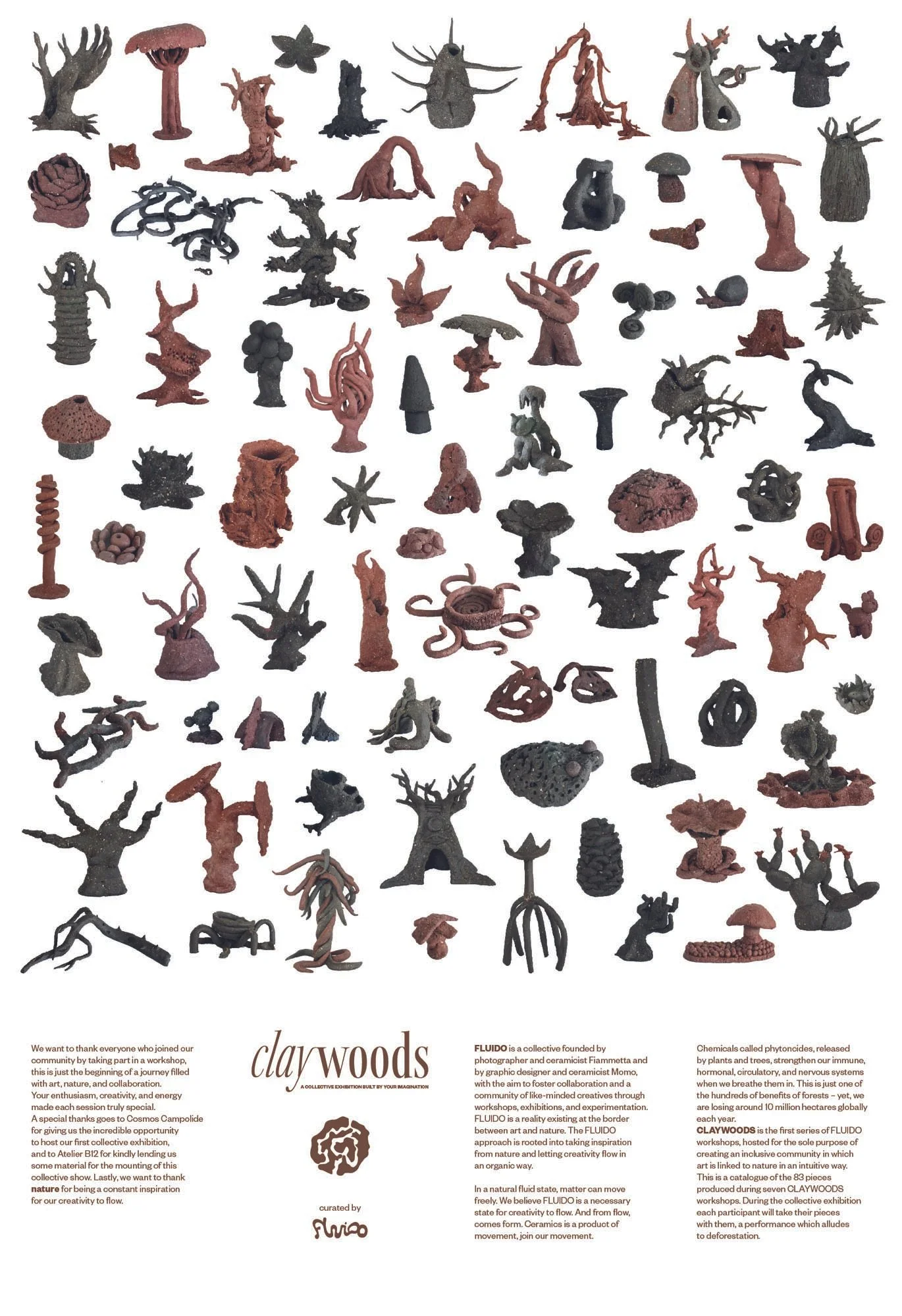 FLUIDO claywoods poster.jpg