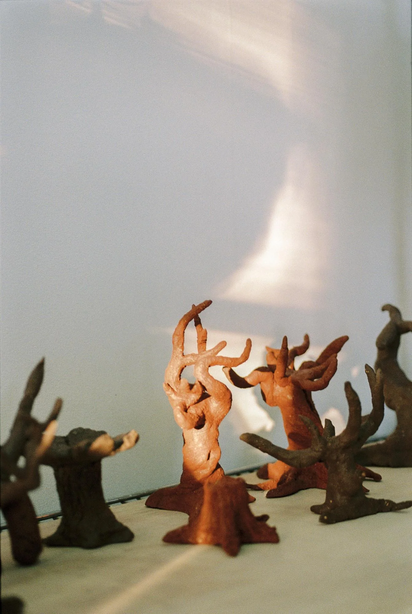 FLUIDO claywoods 3.jpg