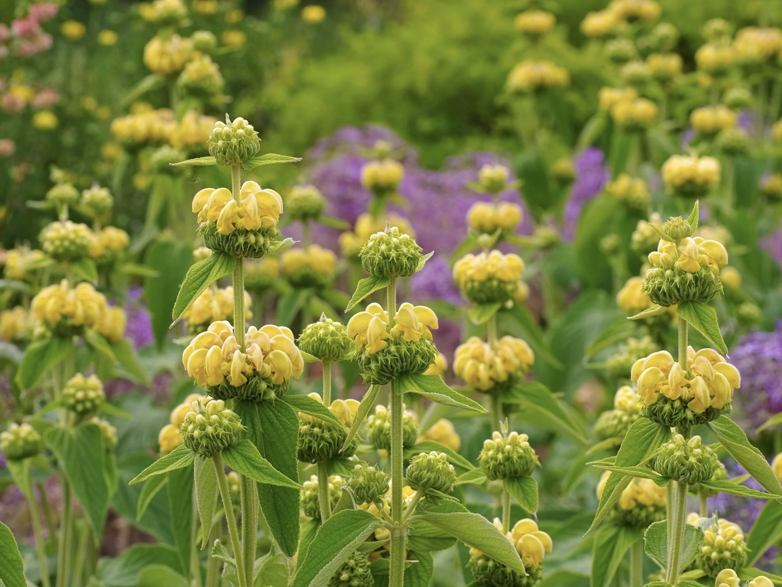 Screenshot 2026-04-21 at 16.01.17.png