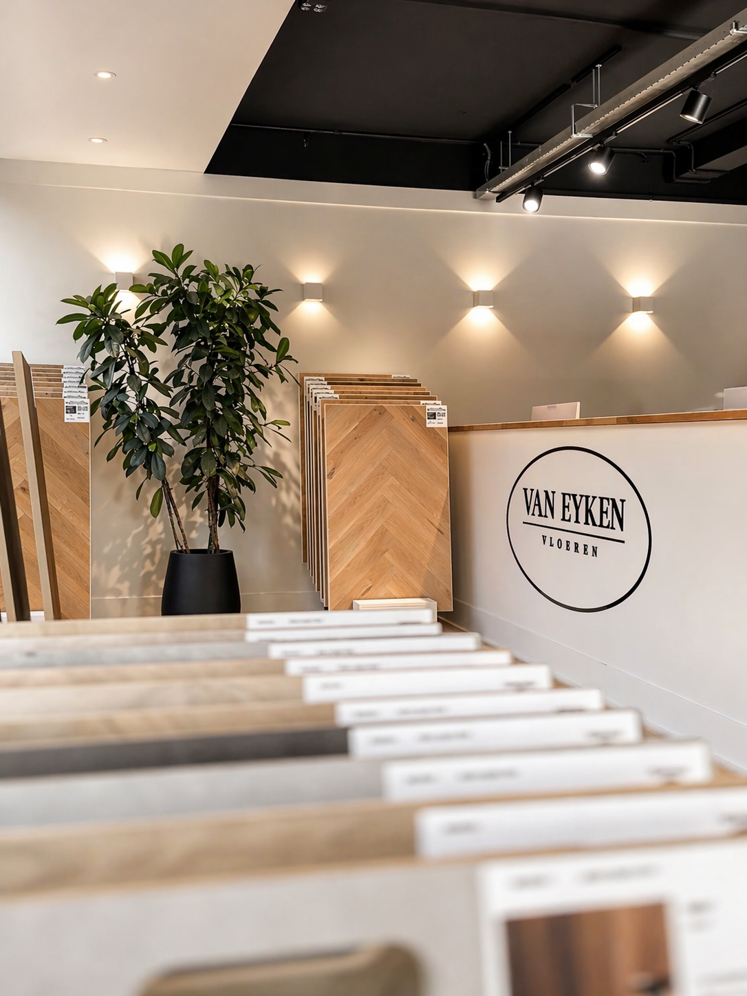 Interieur van een vloerenwinkel met houten vloer- en wandmonsters, groene plant in zwart pot, en een winkelbalie met het logo 'Van Eyken Vloeren'.