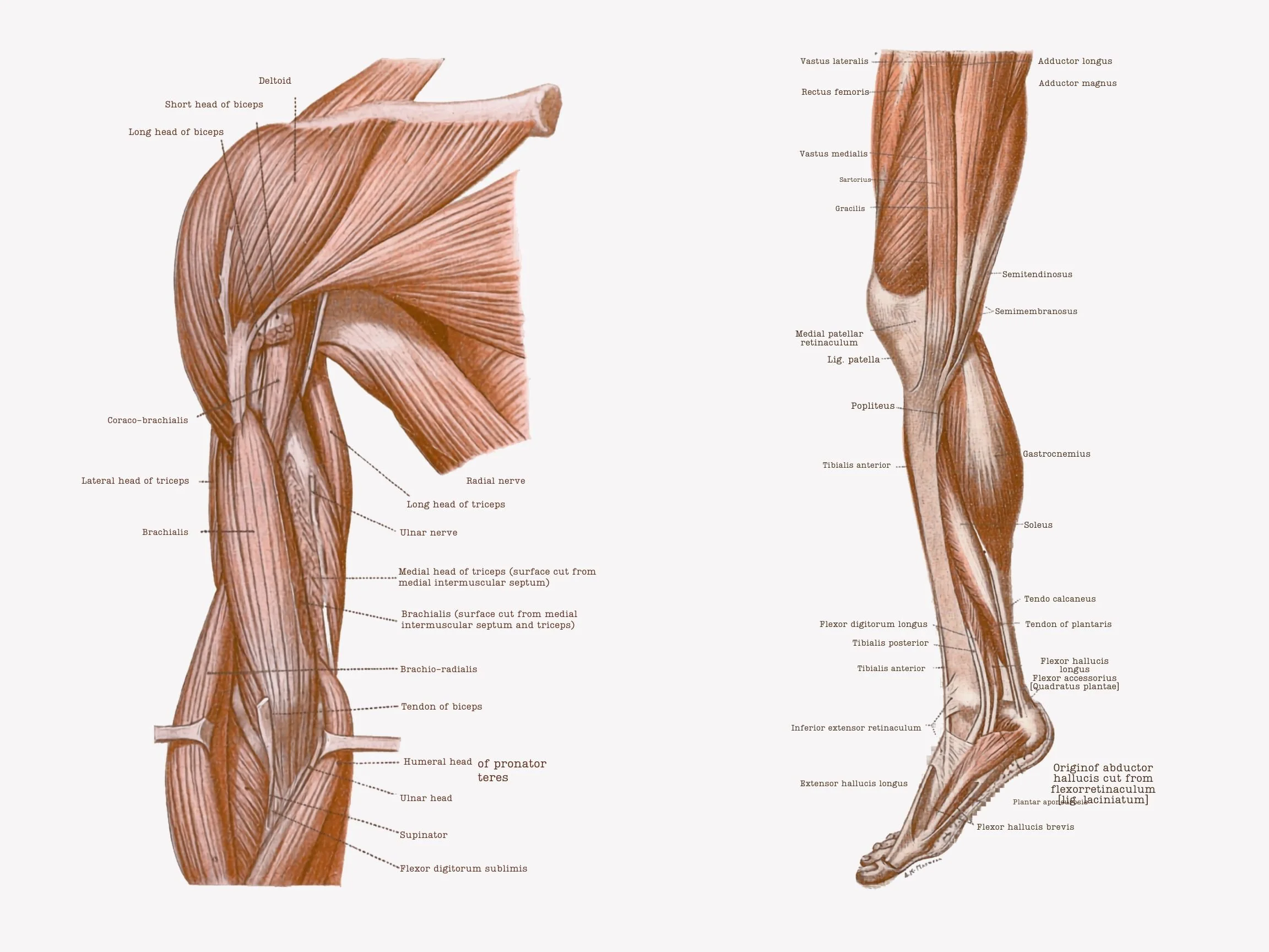 FeliciaBodyWorks Medical Massage Therapy