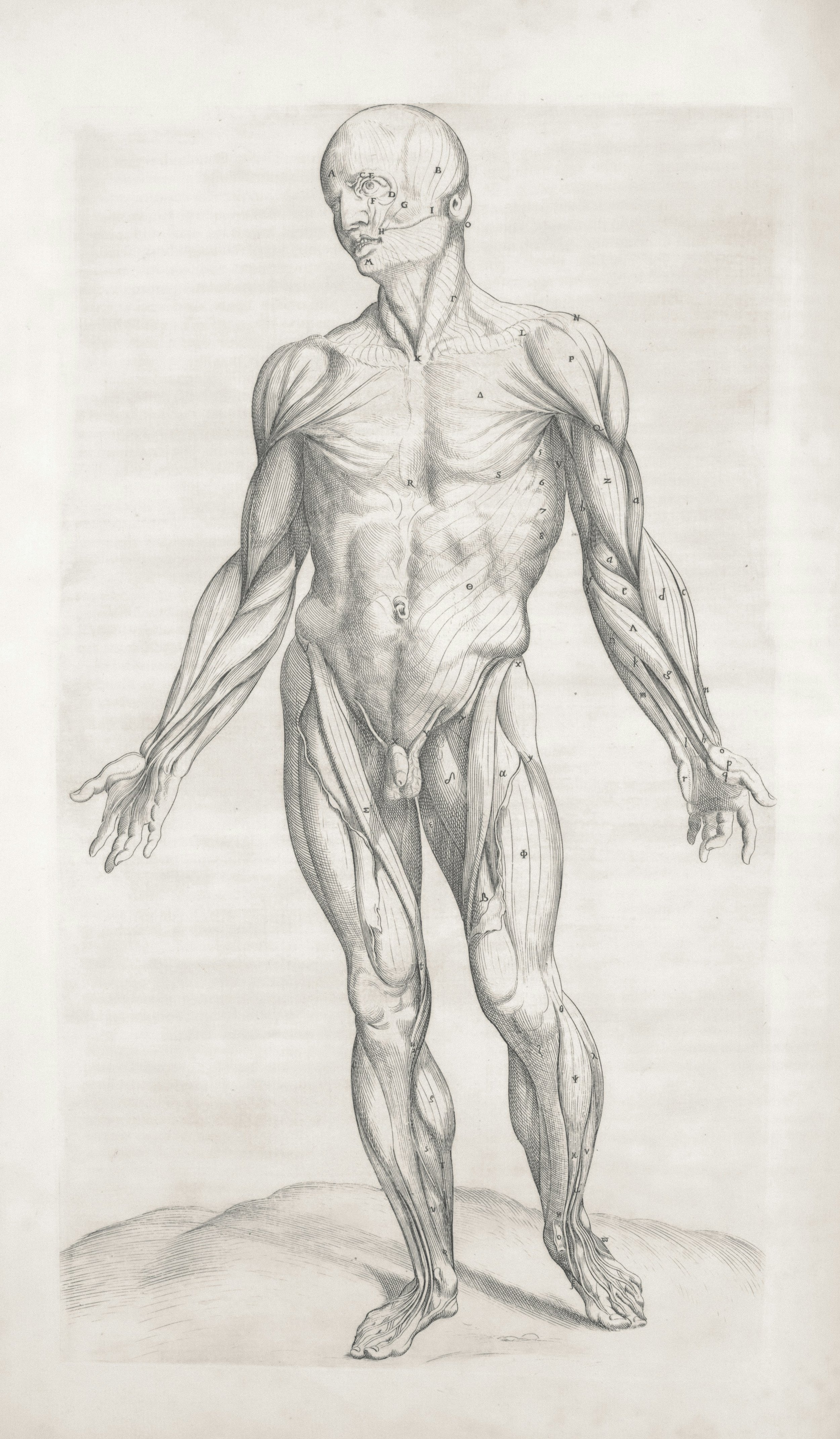 FeliciaCBodyWorks | Muscle Massage Therapy