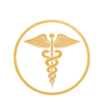 FeliciaBodyWorks Favicon & Icon