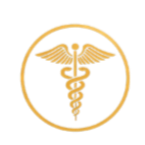 FeliciaBodyWorks Favicon & Icon