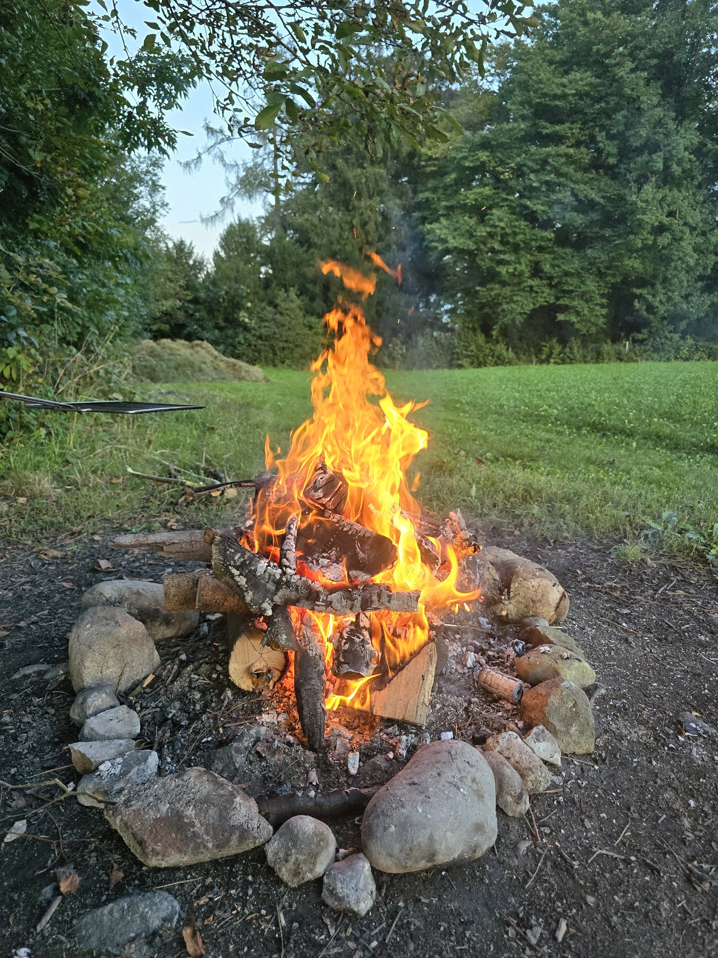 Lagerfeuer in einer Naturumgebung, umgeben von Steinen, mit brennendem Holz und Flammen, umgeben von Bäumen und Gras.