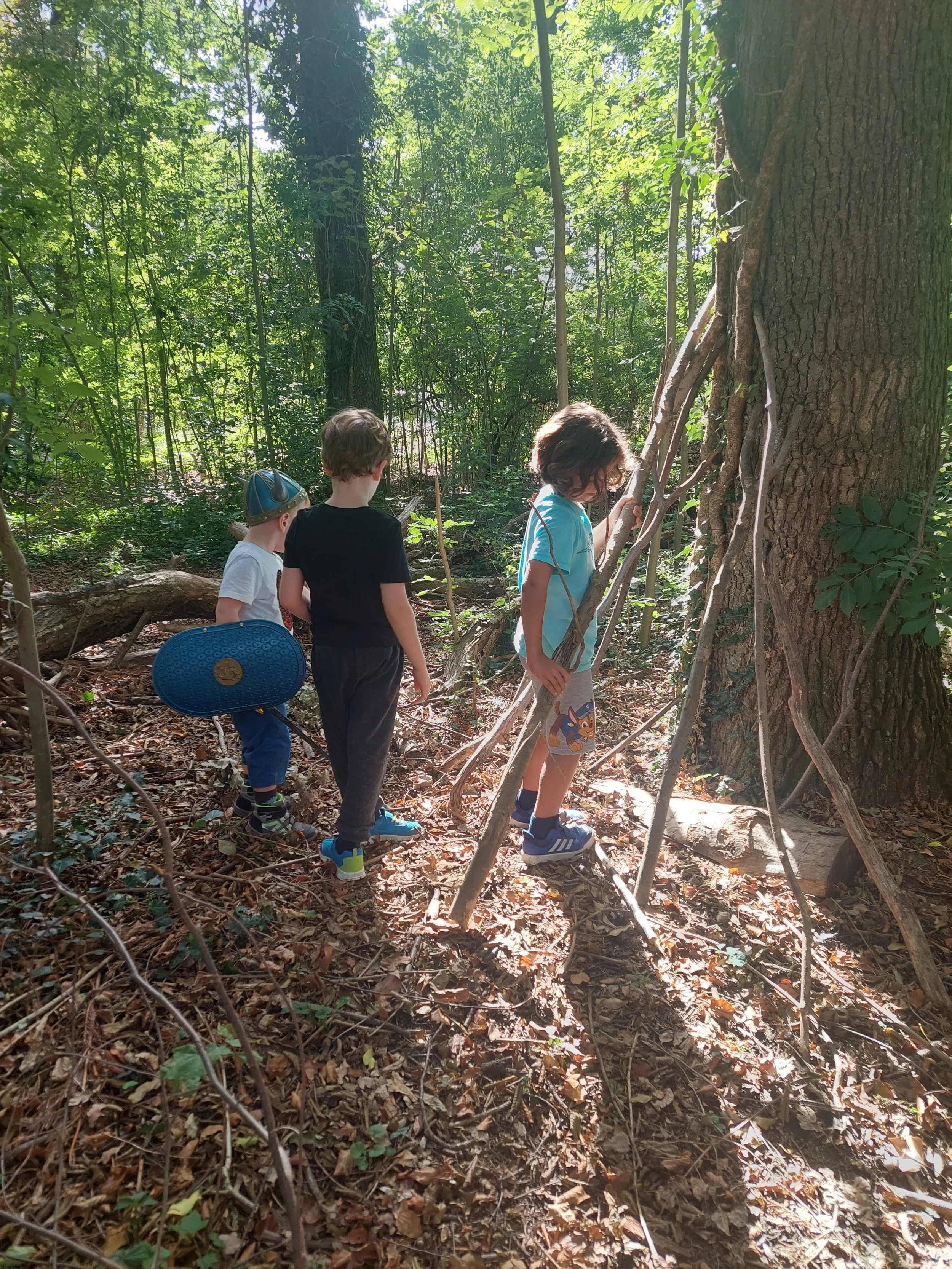 Drei Kinder im Wald, eines klettert an einem Baum, die anderen beiden stehen daneben.