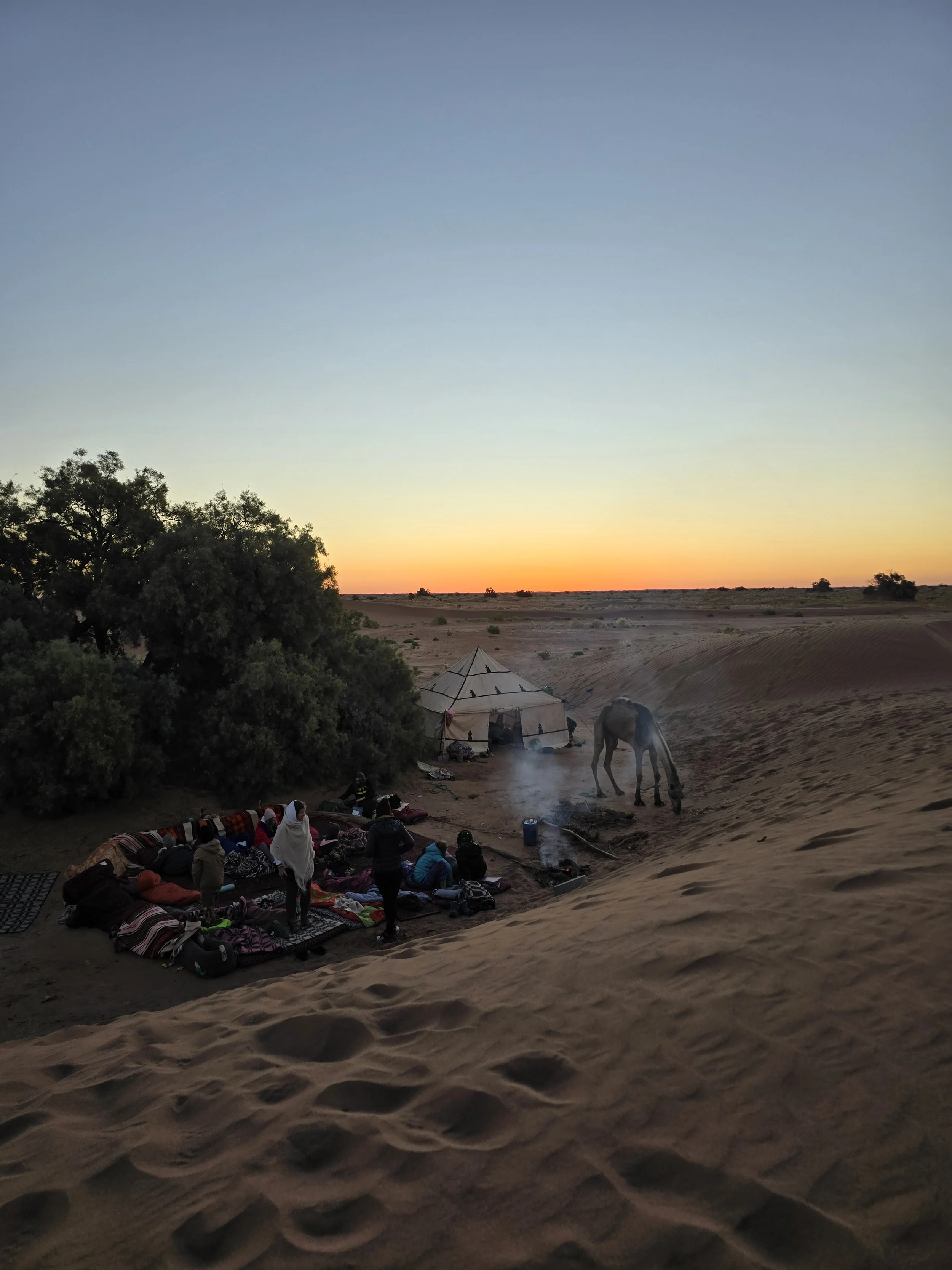 Eine Gruppe von Menschen sitzt am Abend am Sanddünen in der Wüste, in der Nähe eines Zeltes, mit einem Kamel im Hintergrund, bei Sonnenuntergang.