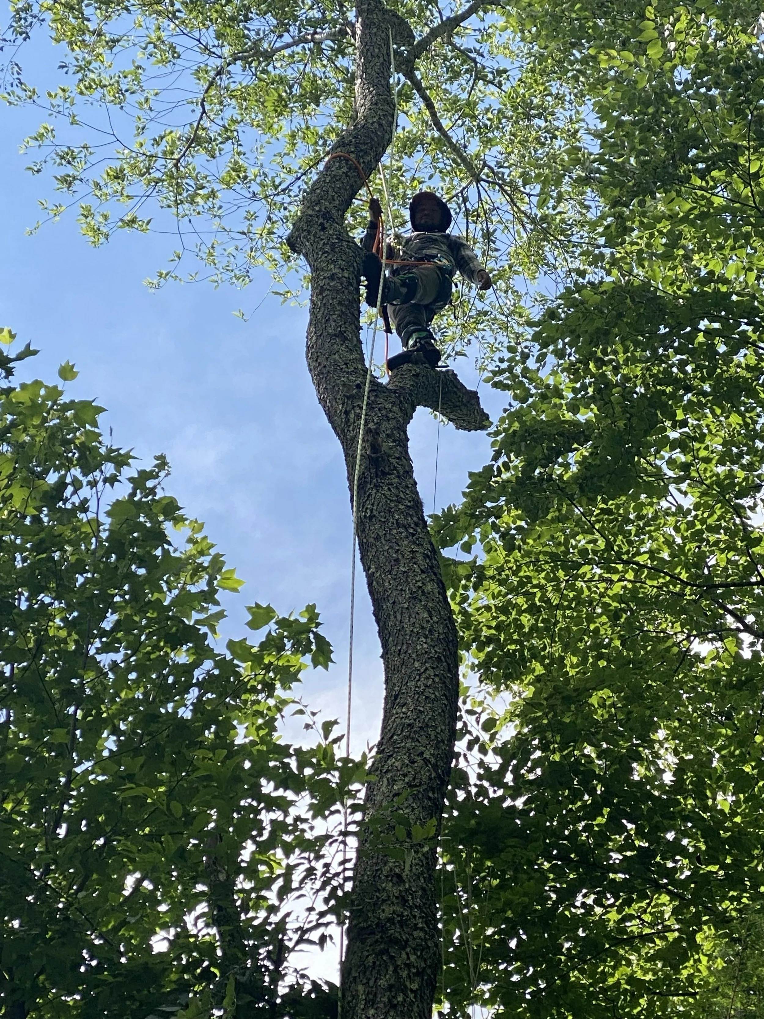 Antonio’s Construction proudly serving Ashe County, West Jefferson, Boone, Blowing Rock, Lansing, Banner Elk, and the surrounding High Country communities.