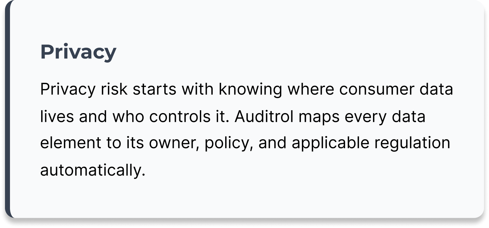 Screenshot of a webpage with the title "Privacy" and a paragraph explaining privacy risk in consumer data, mentioning Auditrrol's data mapping and regulation compliance.
