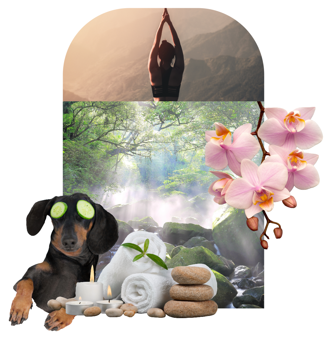 Yoga & Spa Travel Collage